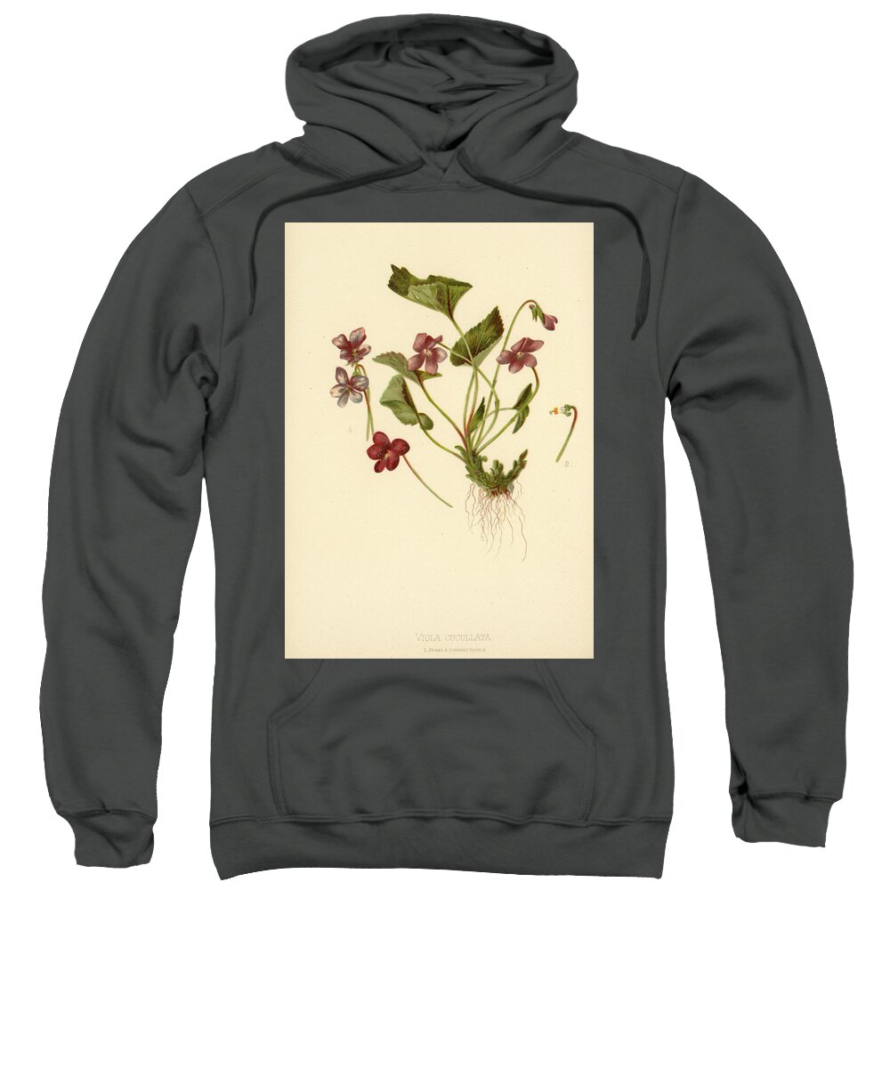 Flowers Sweatshirt featuring the mixed media Viola Cucullata Common Blue Violet by L Prang
