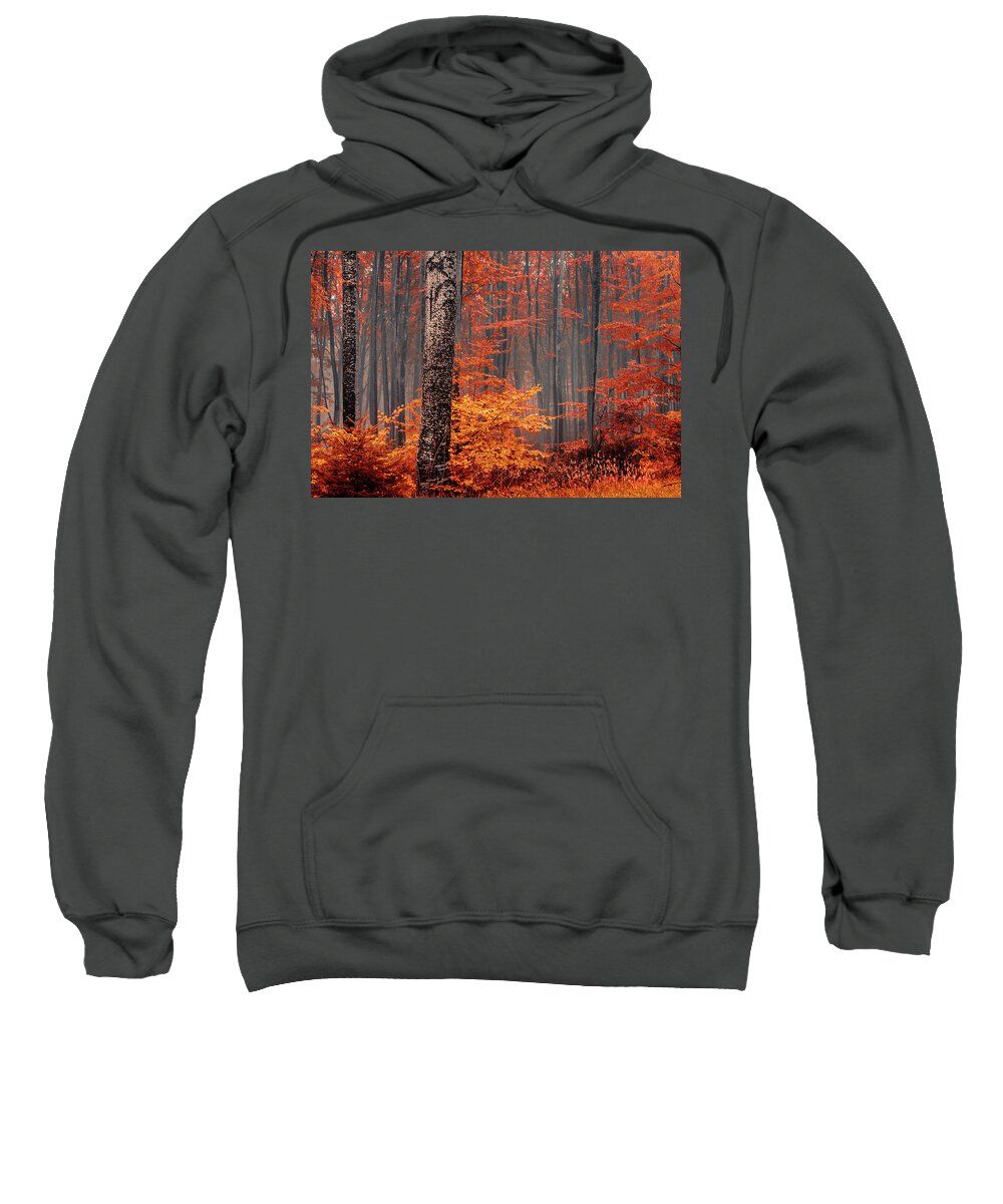 Mist Sweatshirt featuring the photograph Welcome To Orange Forest by Evgeni Dinev