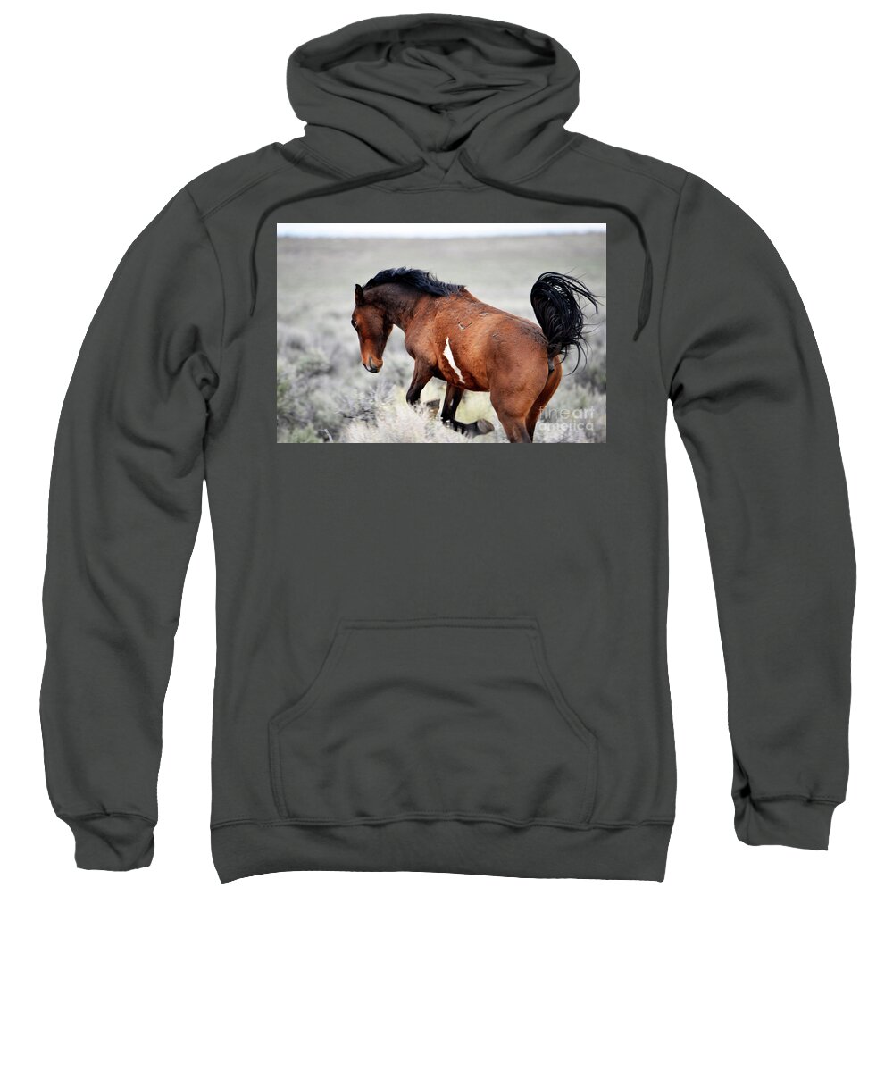 Denise Bruchman Photography Sweatshirt featuring the photograph Wild and Free by Denise Bruchman