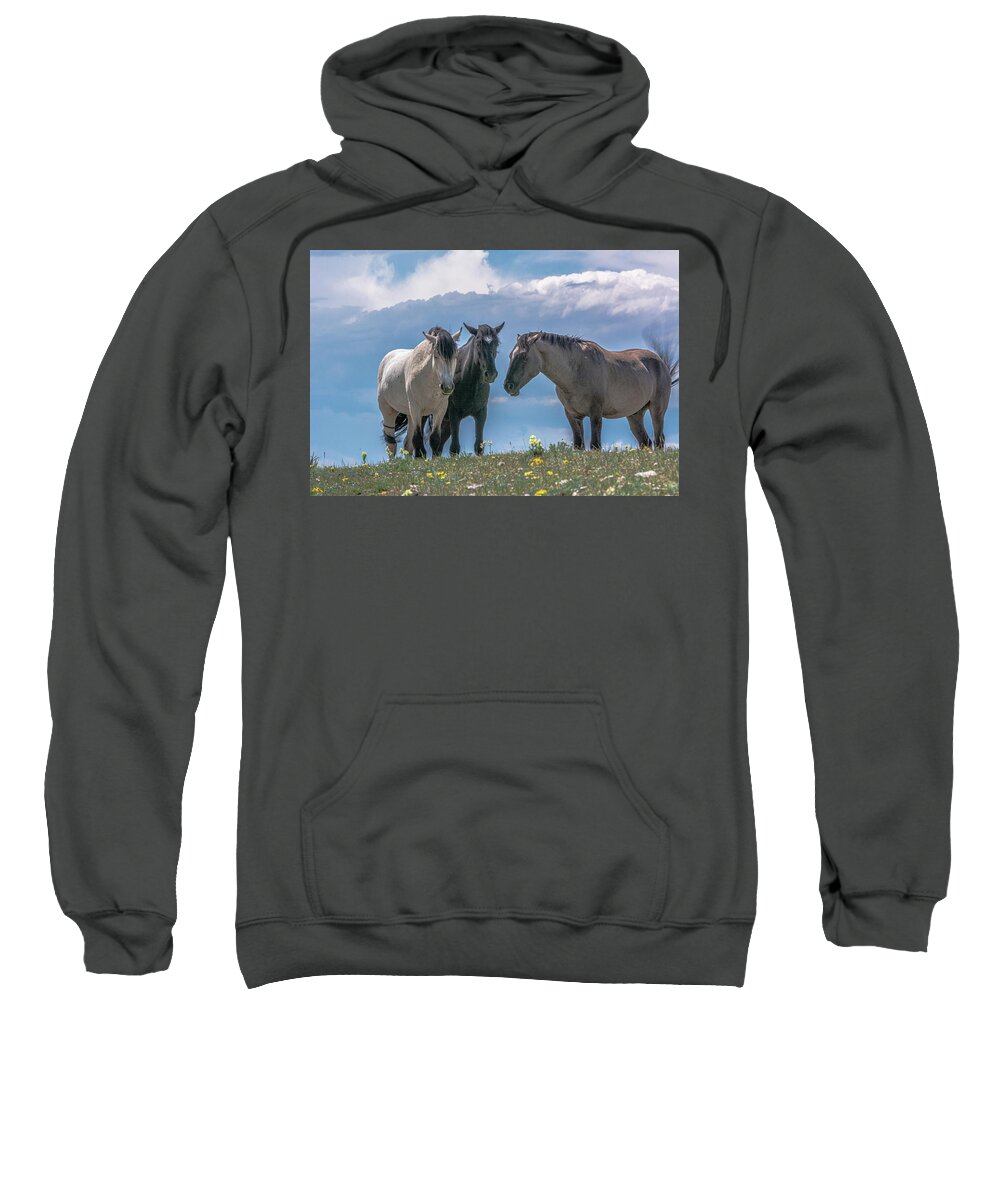 Pryor Mountain Sweatshirt featuring the photograph Wild Mustangs of Montana by Douglas Wielfaert