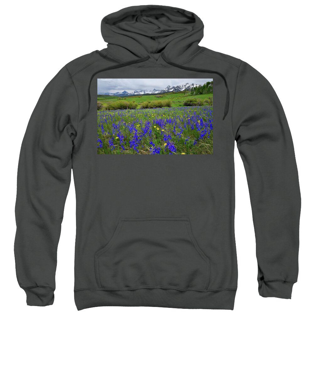 Ouray Sweatshirt featuring the photograph Wildflowers along Last Dollar Road by Ray Mathis