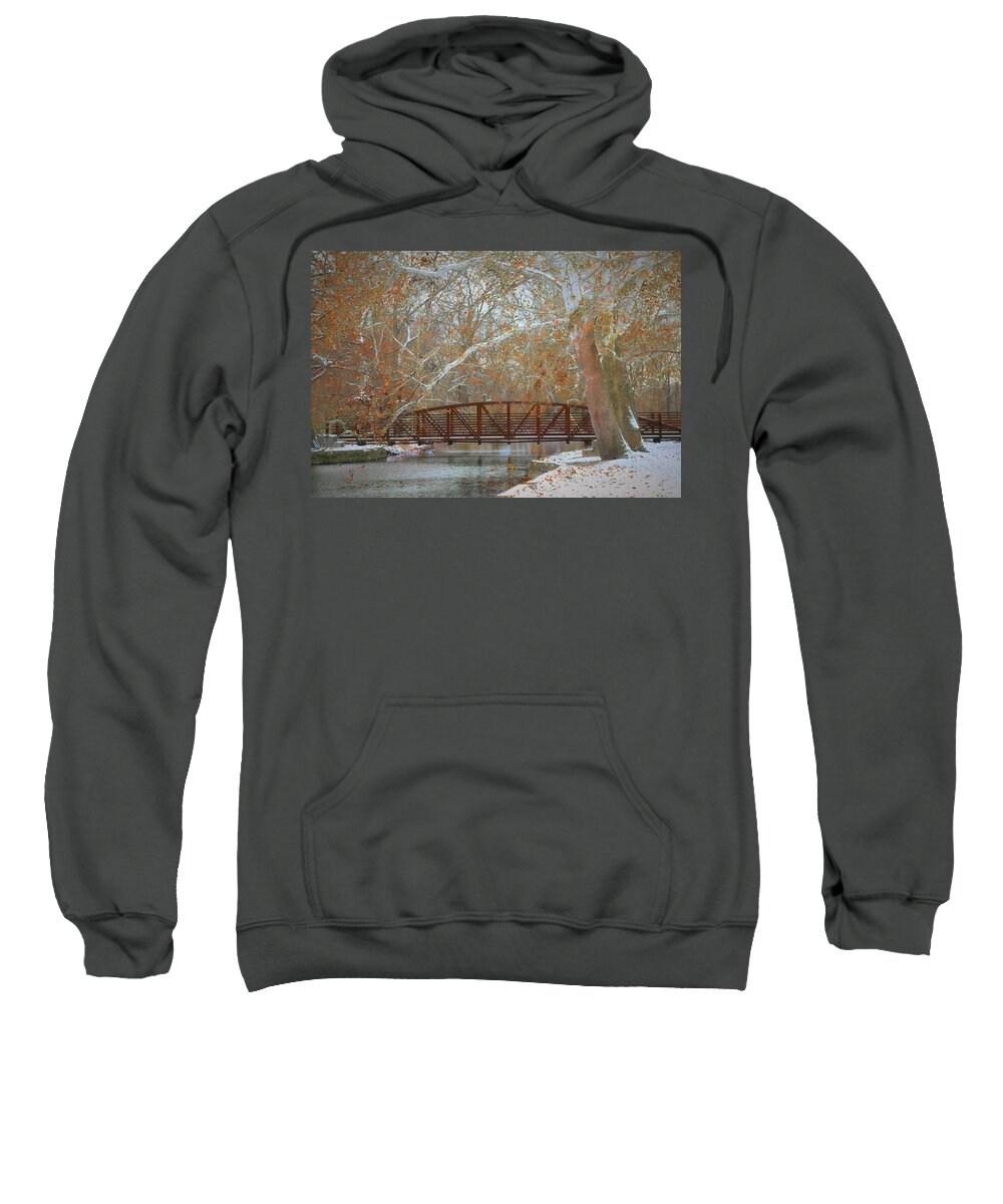  Sweatshirt featuring the photograph Winter Sycamores by Jack Wilson