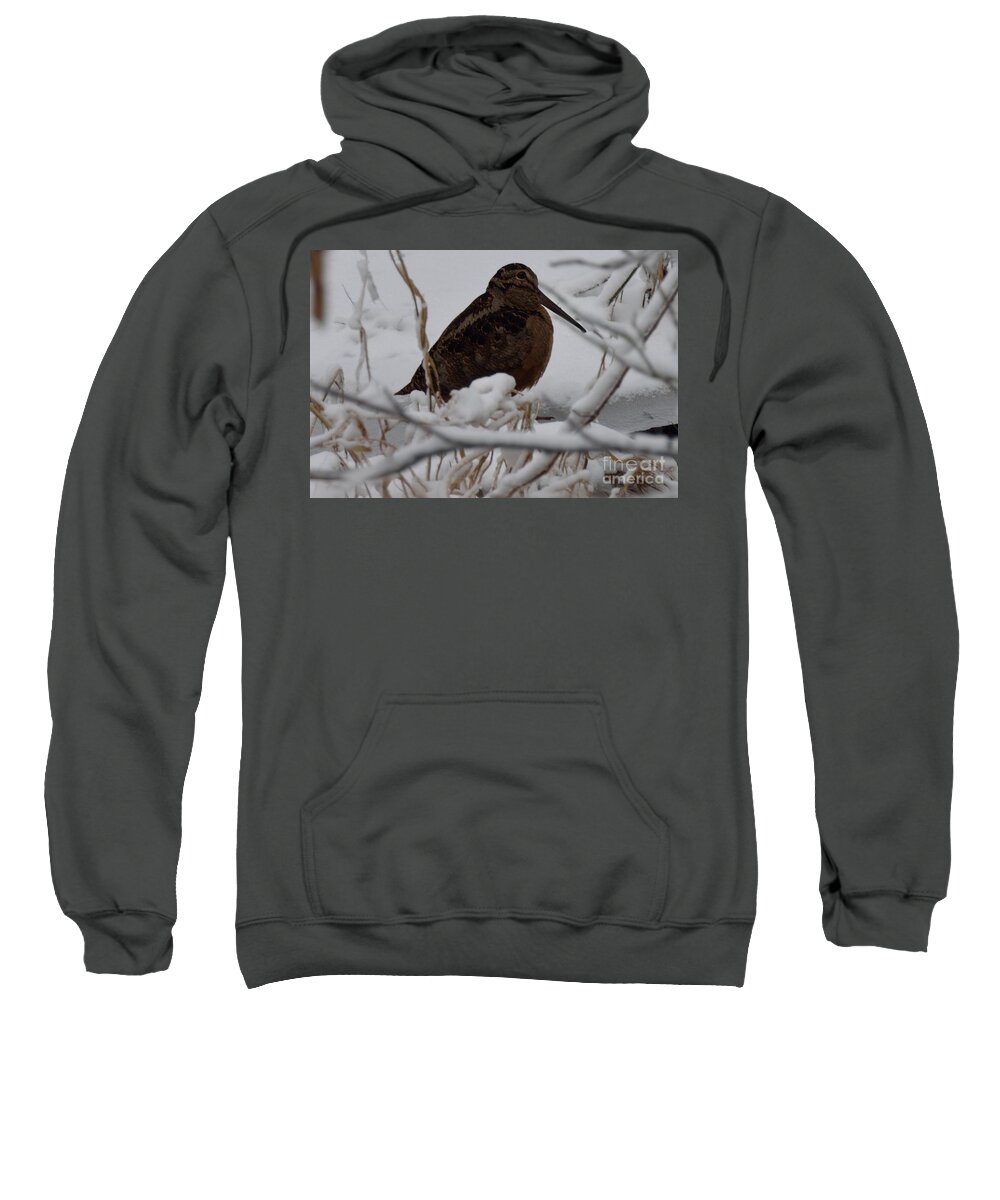 Woodcock Sweatshirt featuring the photograph Wishing I Was Down On The Bayou by Randy Bodkins