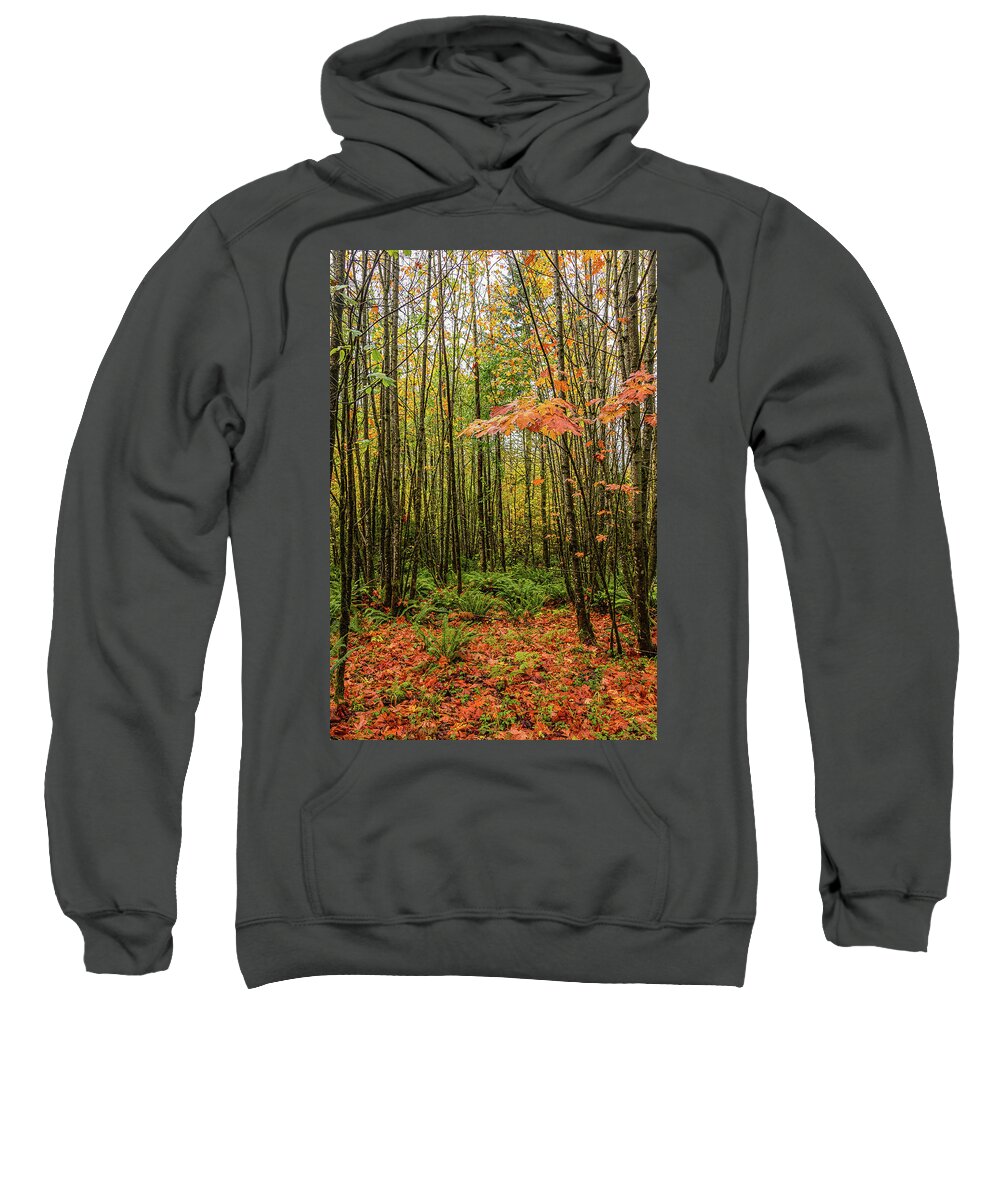Landscapes Sweatshirt featuring the photograph Young Maples by Claude Dalley