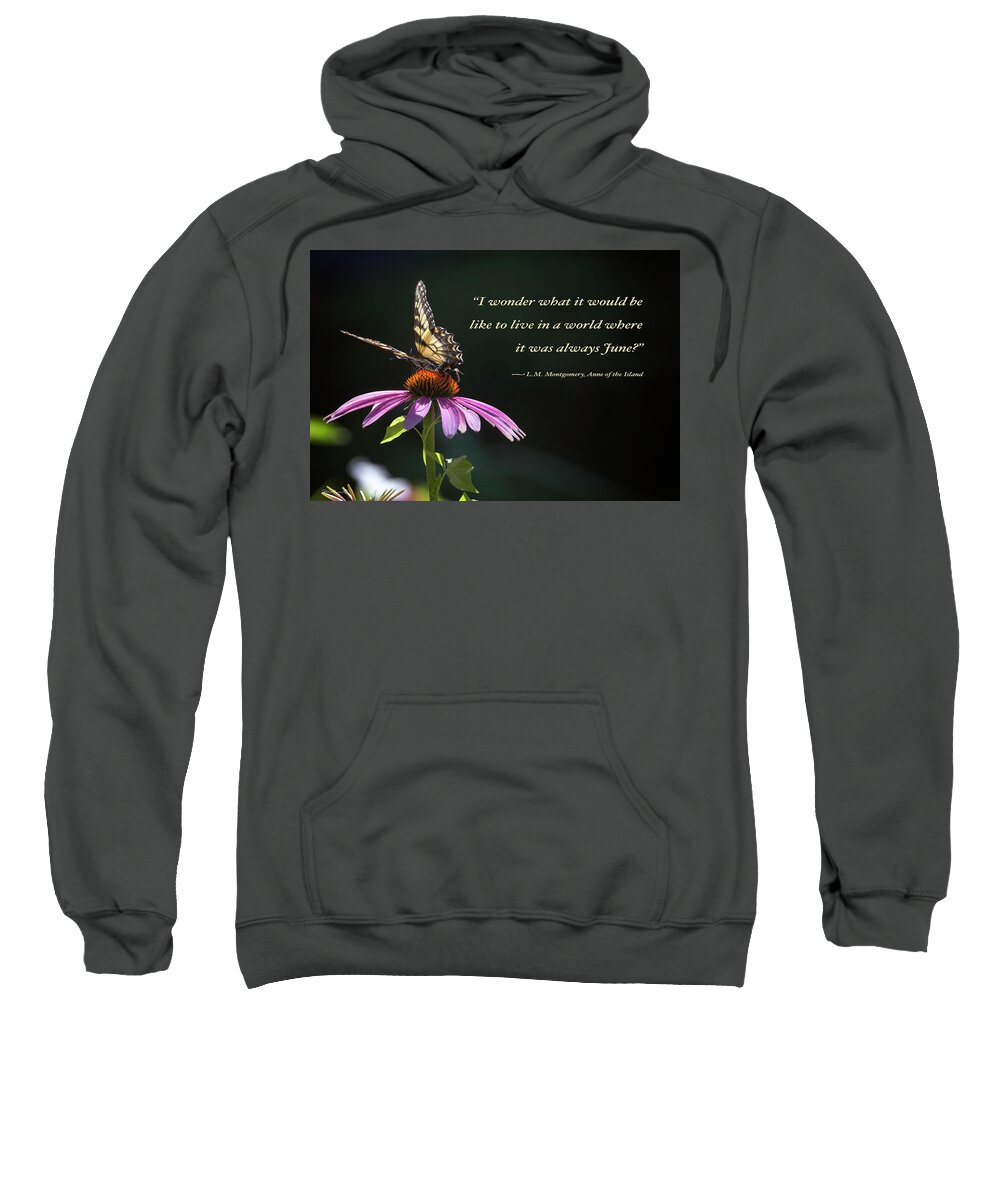  Sweatshirt featuring the photograph Always June #1 by Phil Mancuso