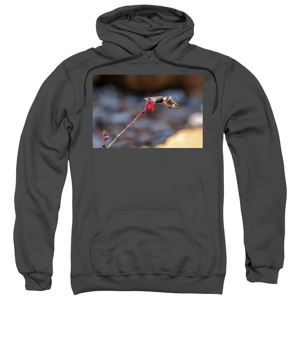 Birds Sweatshirt featuring the photograph Black-chinned Hummingbird by Frank Madia