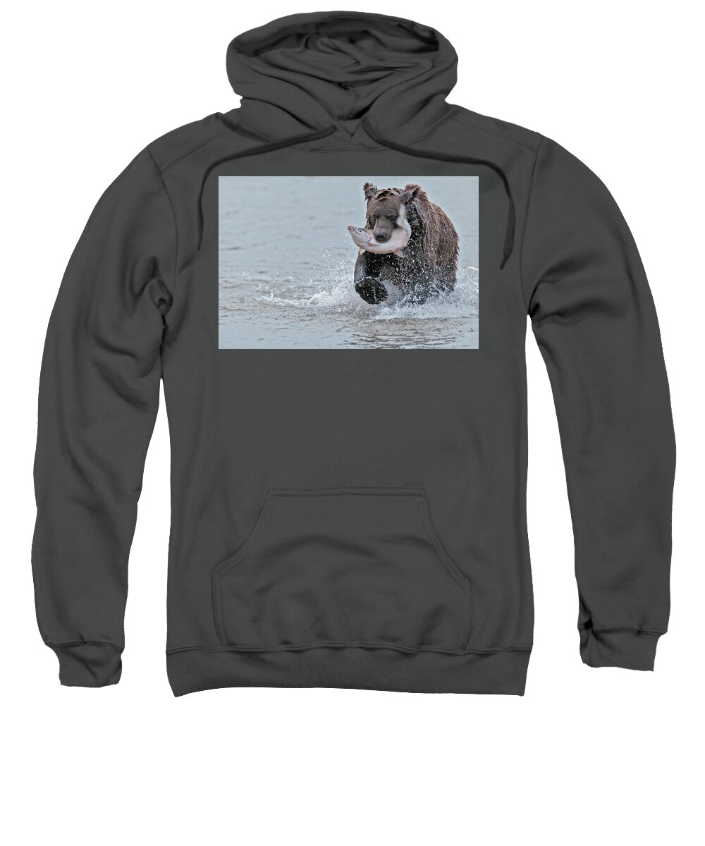 Wild Sweatshirt featuring the photograph Brown Bear with Salmon catch #1 by Gary Langley