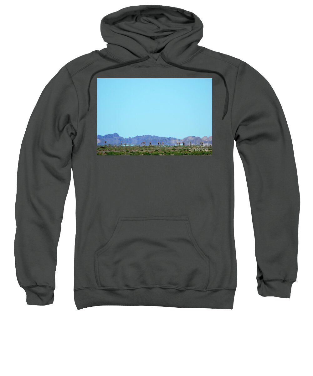 Challenge Of Gobi Desert Sweatshirt featuring the photograph Colors of Countryside #1 by Elbegzaya Lkhagvasuren