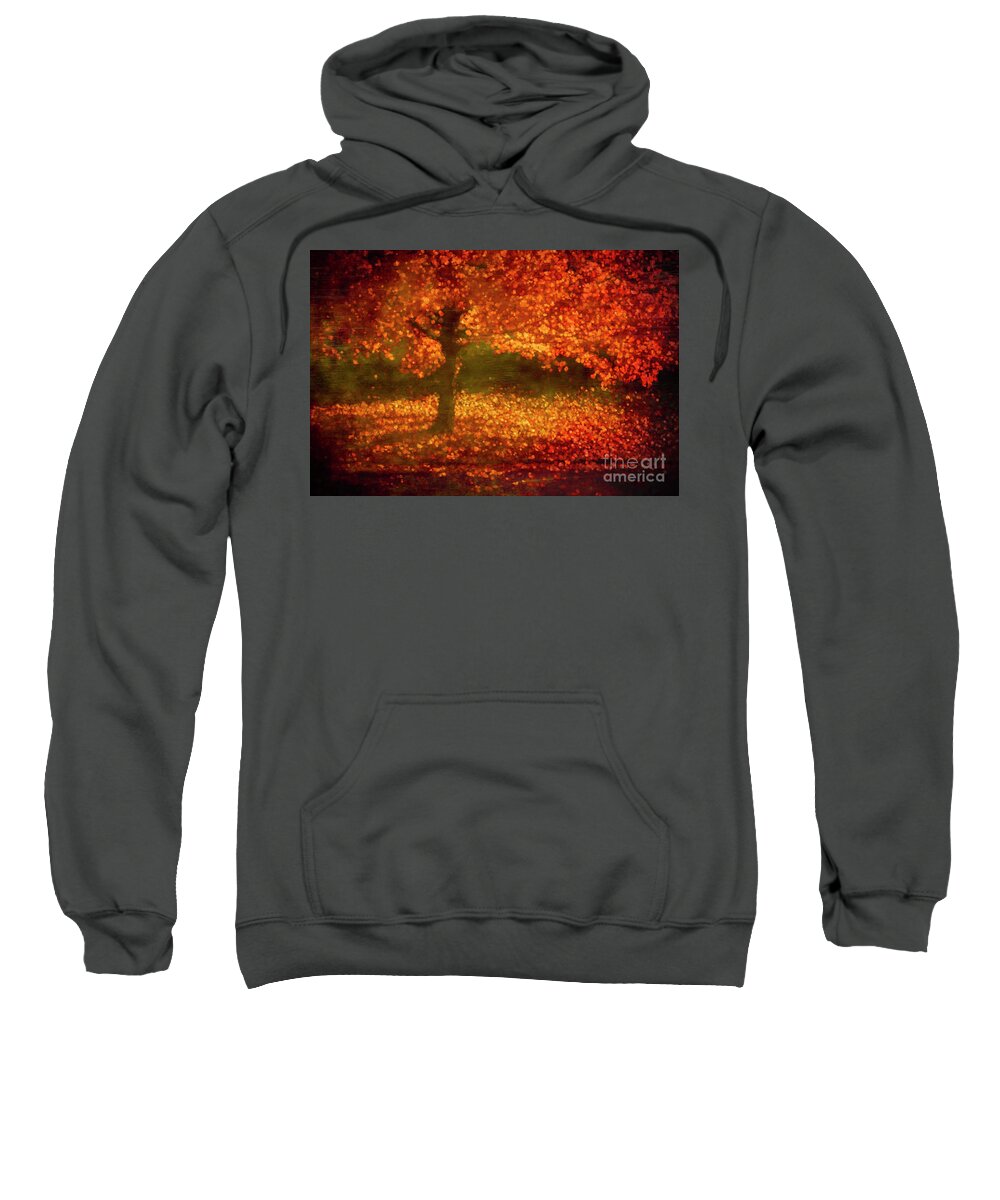 Fall Sweatshirt featuring the photograph Falling #1 by Cathy Donohoue