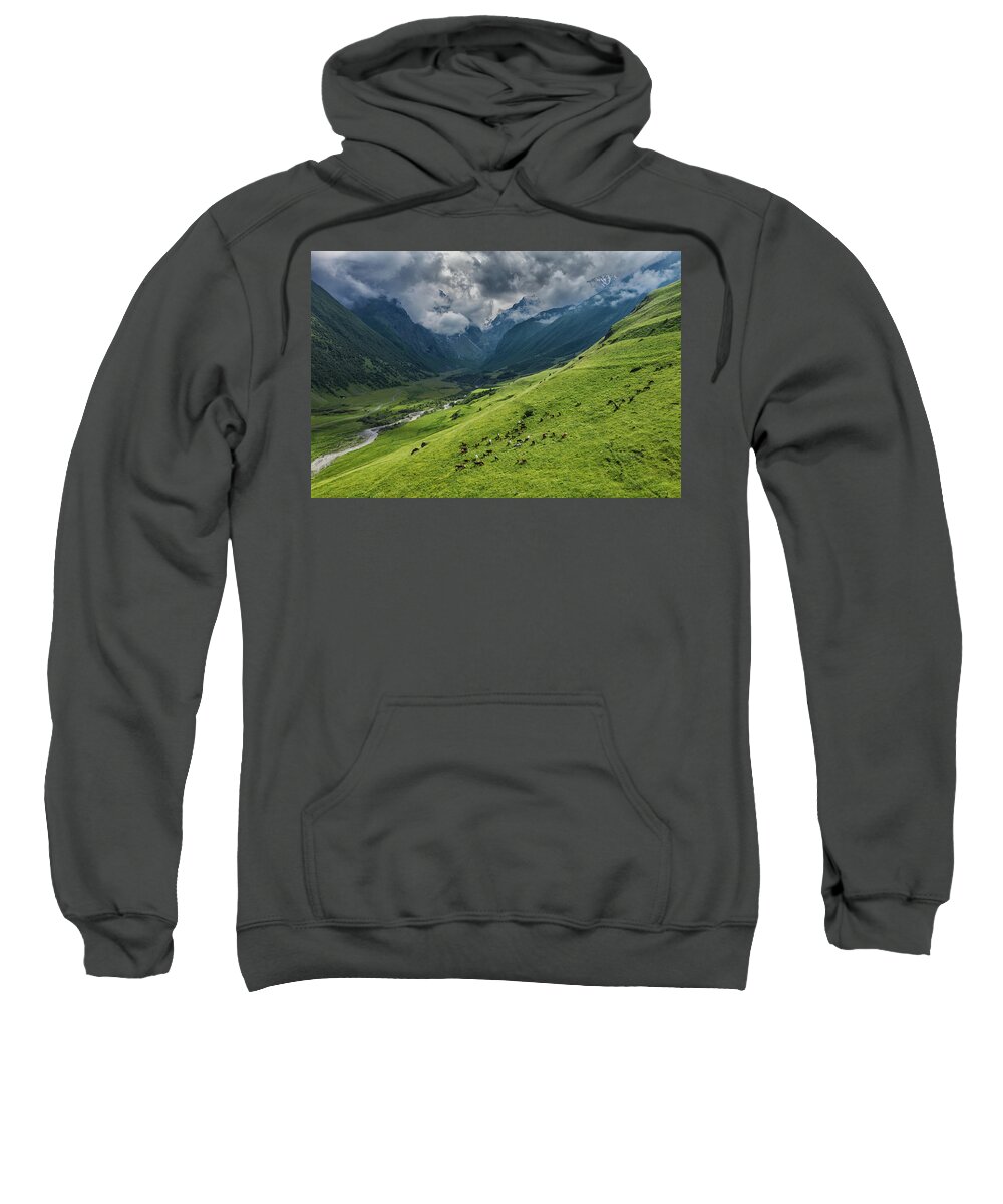 Mountain Sweatshirt featuring the photograph Herd Of Horses Grazing On Slope Meadow #1 by Mikhail Kokhanchikov