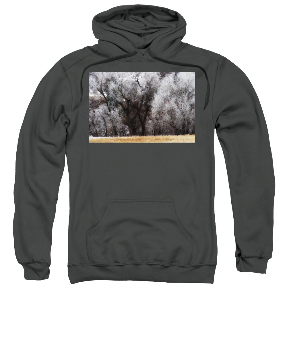 Co Sweatshirt featuring the photograph Hoar Frost #2 by Doug Wittrock