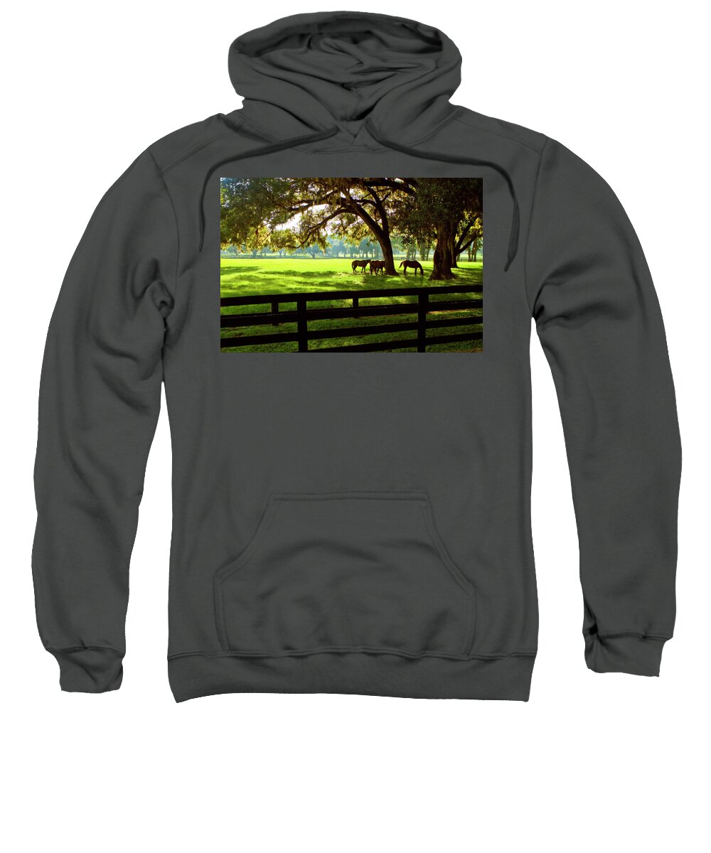 Photo Sweatshirt featuring the photograph Horses in the Sunrise 4 #1 by Alan Hausenflock