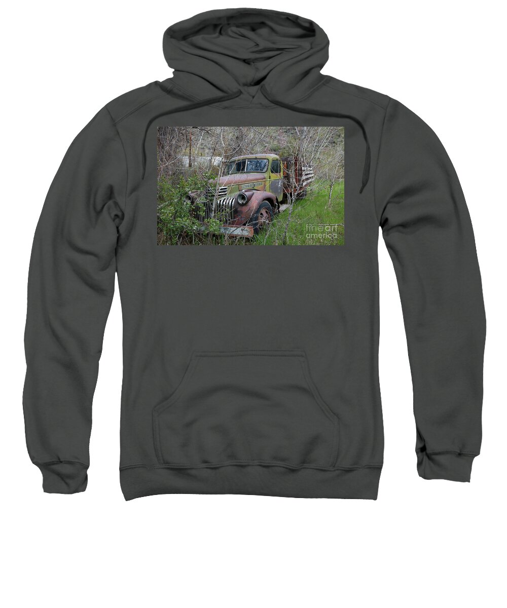 Chevrolet Sweatshirt featuring the photograph In Hiding #1 by Idaho Scenic Images Linda Lantzy