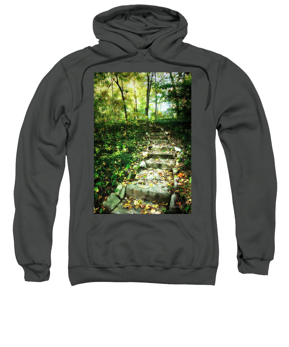 Color Sweatshirt featuring the photograph Lighted Pathway #1 by Alan Hausenflock