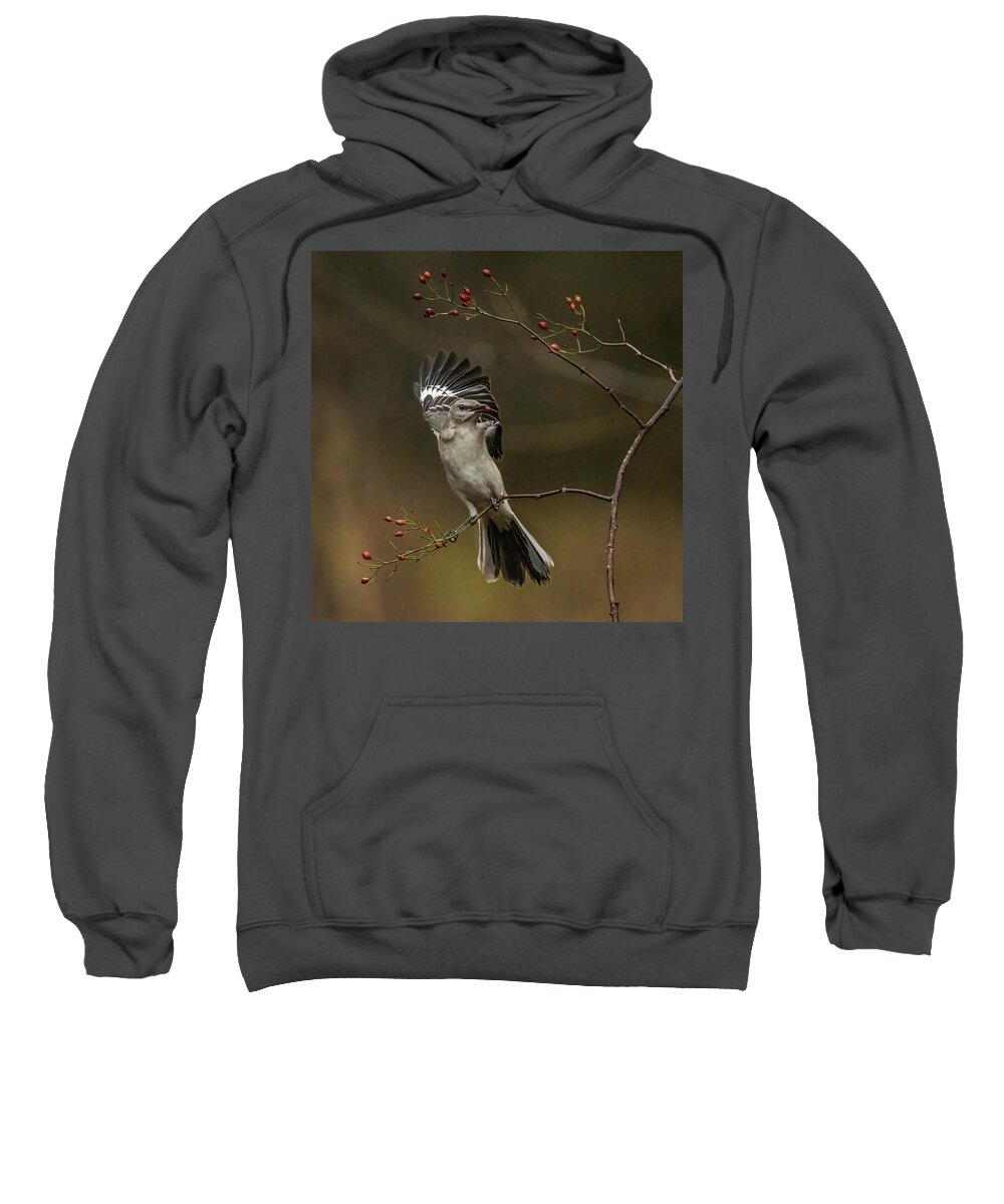 Northern Mockingbird Sweatshirt featuring the photograph Northern Mockingbird #1 by Alexander Image