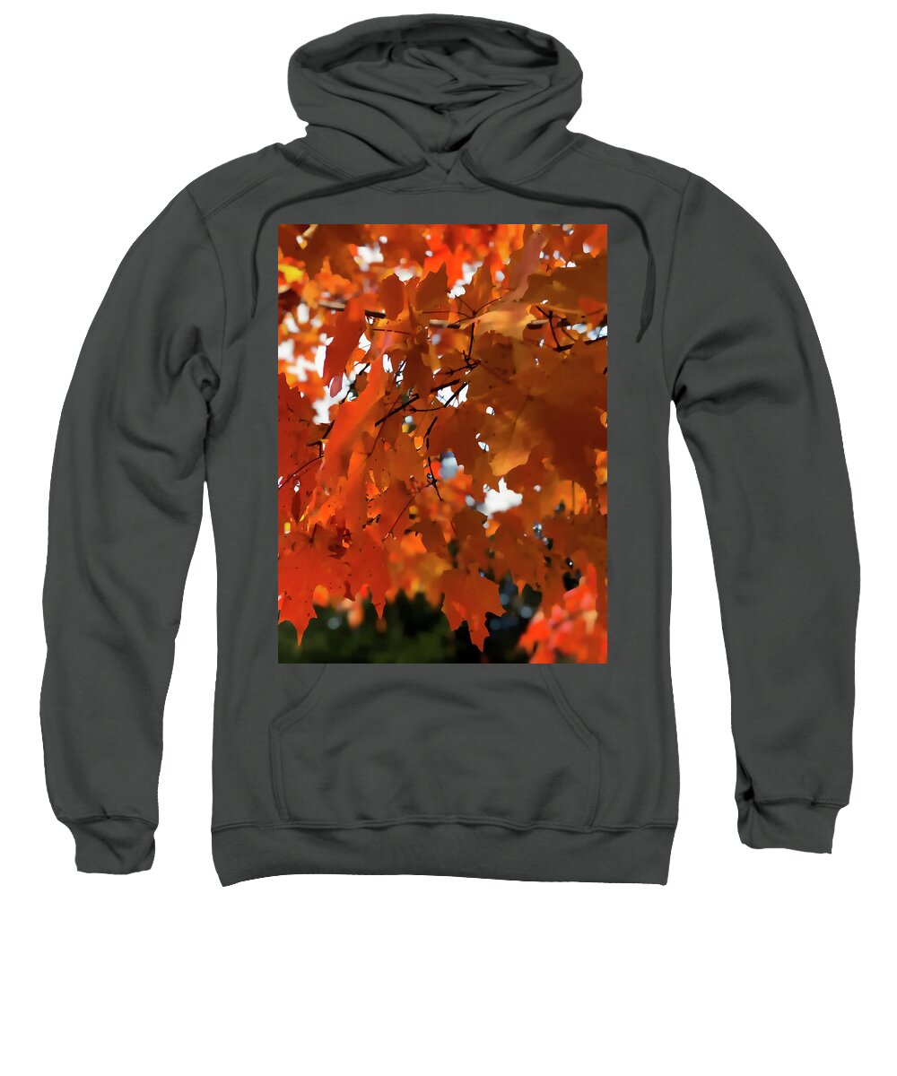  Sweatshirt featuring the digital art Orange Foliage #1 by Cindy Greenstein