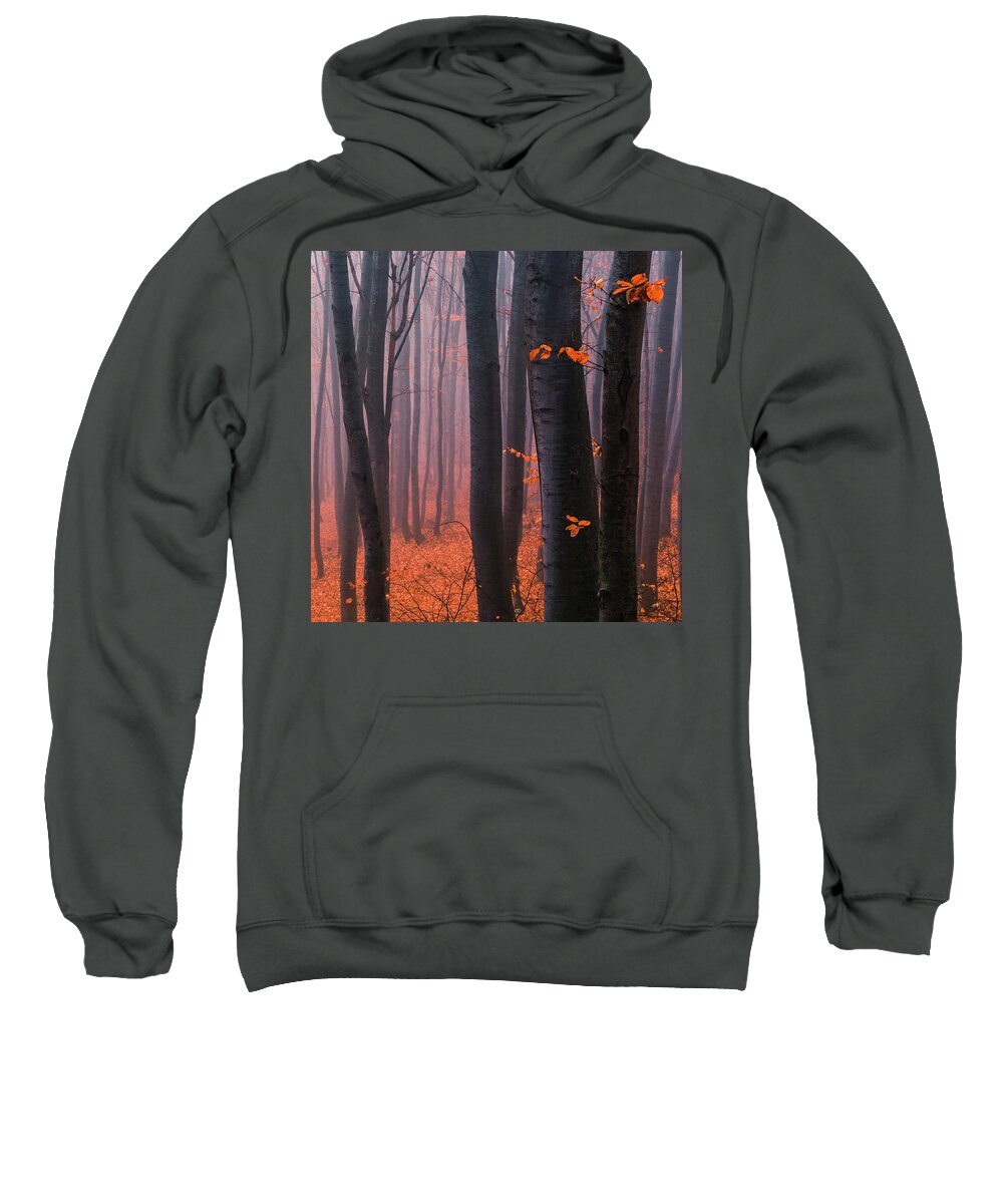 Mountain Sweatshirt featuring the photograph Orange Wood by Evgeni Dinev