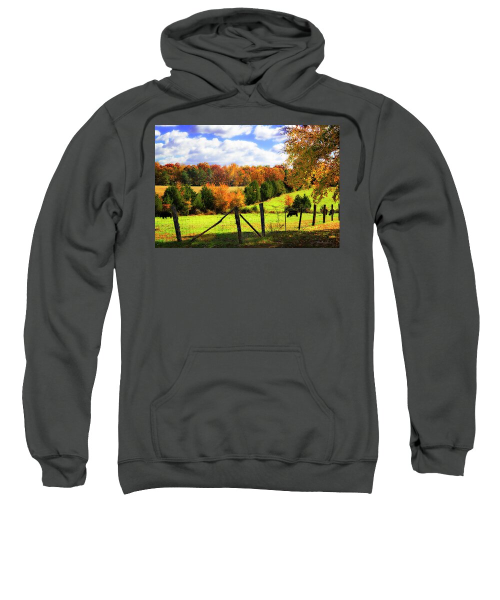 Color Sweatshirt featuring the photograph Quiet Pastures -2 #2 by Alan Hausenflock