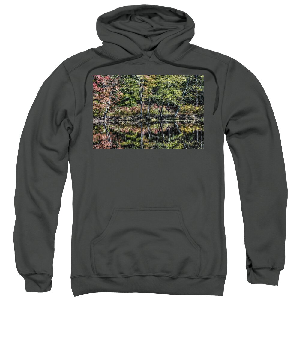 Leaves Sweatshirt featuring the photograph Reflections #1 by Addison Likins