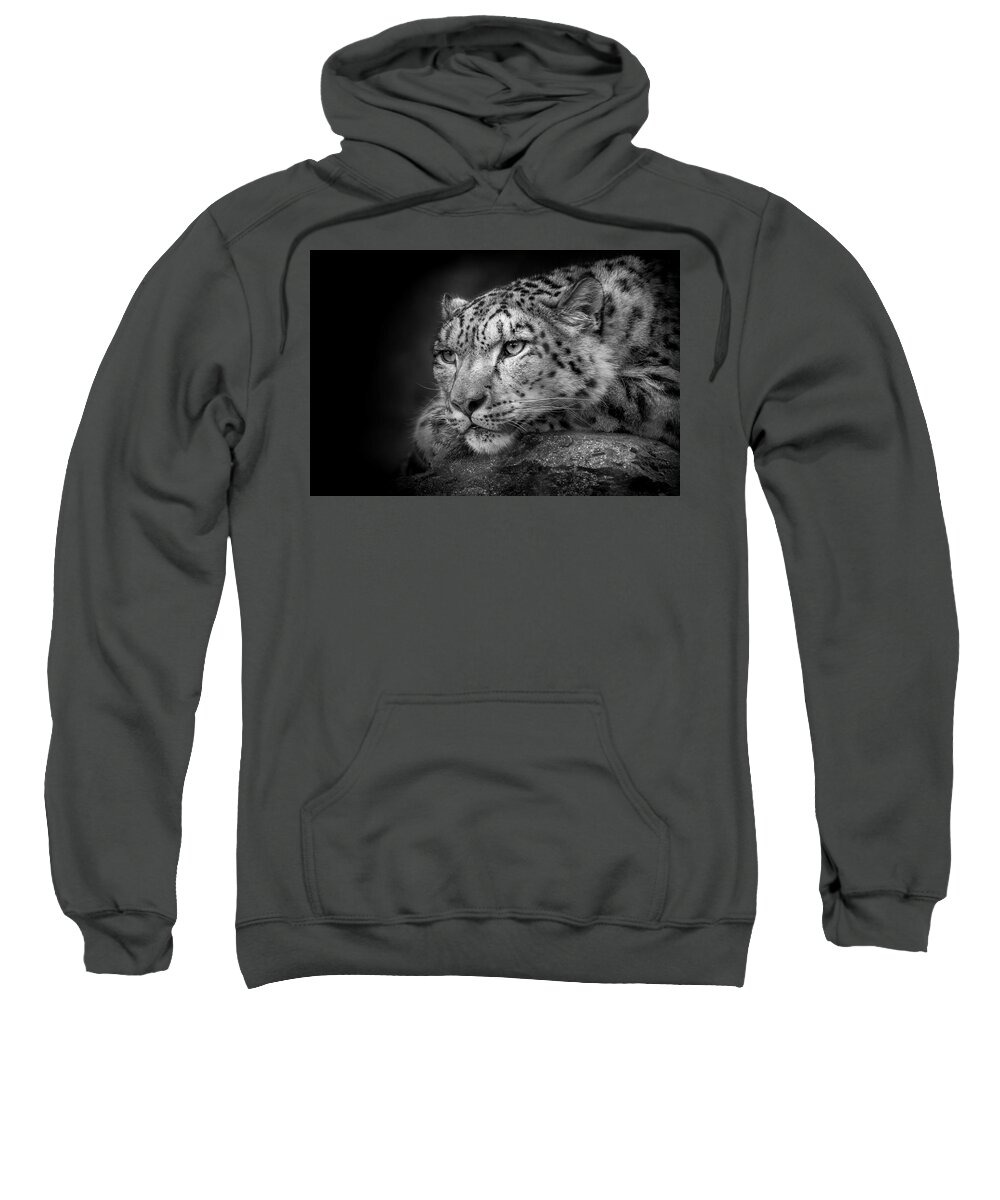 Snow Sweatshirt featuring the photograph Snow Leopard #1 by Chris Boulton