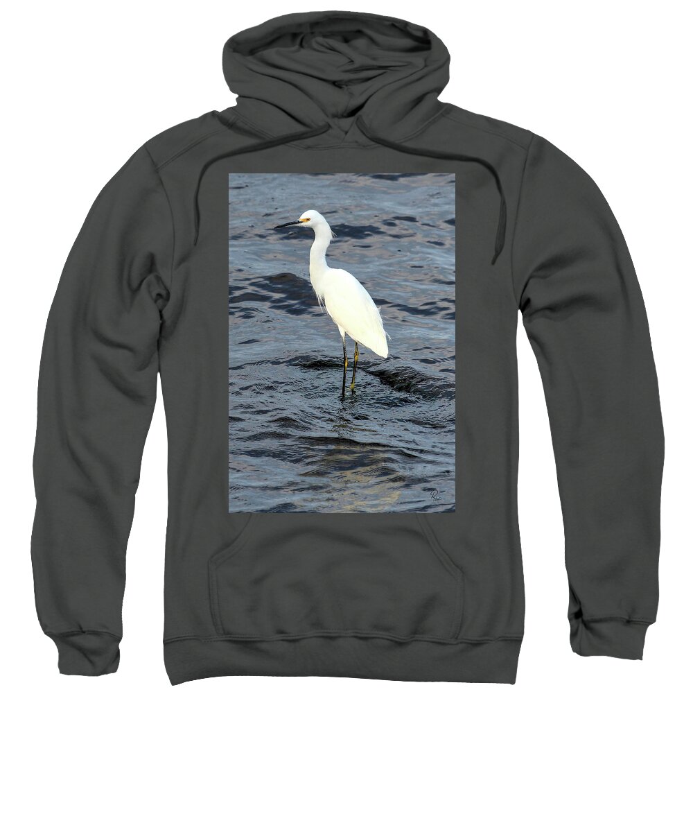 Egret Sweatshirt featuring the photograph Snowy Egret #1 by Robert Harris