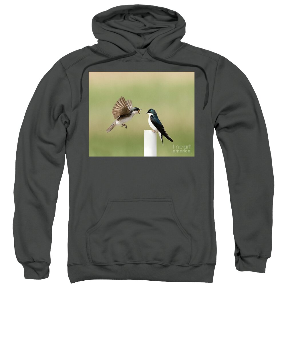 Bird Sweatshirt featuring the photograph Tree Swallow #1 by Dennis Hammer