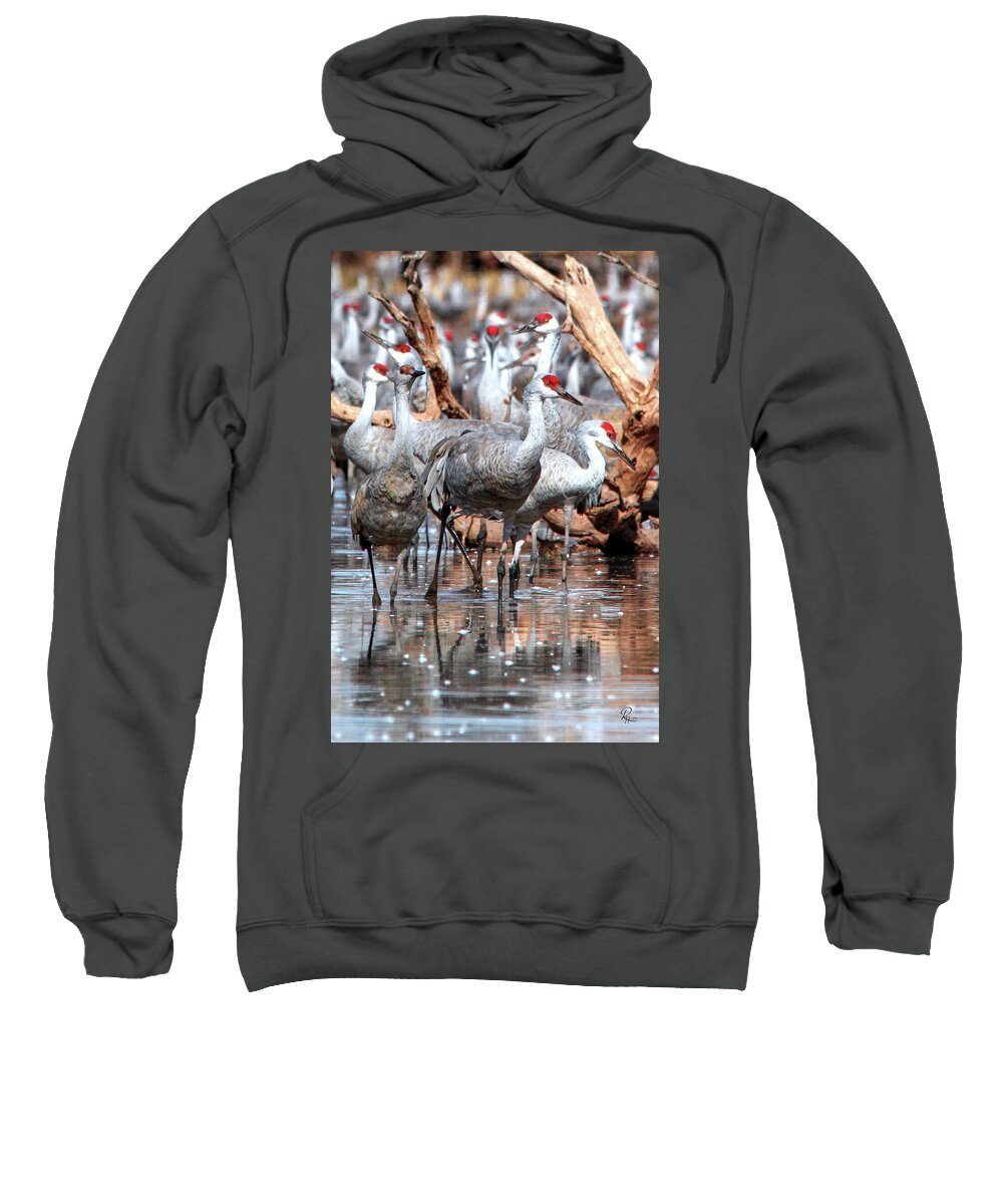 Wildlife Sweatshirt featuring the photograph Whitewater Draw 2482 by Robert Harris