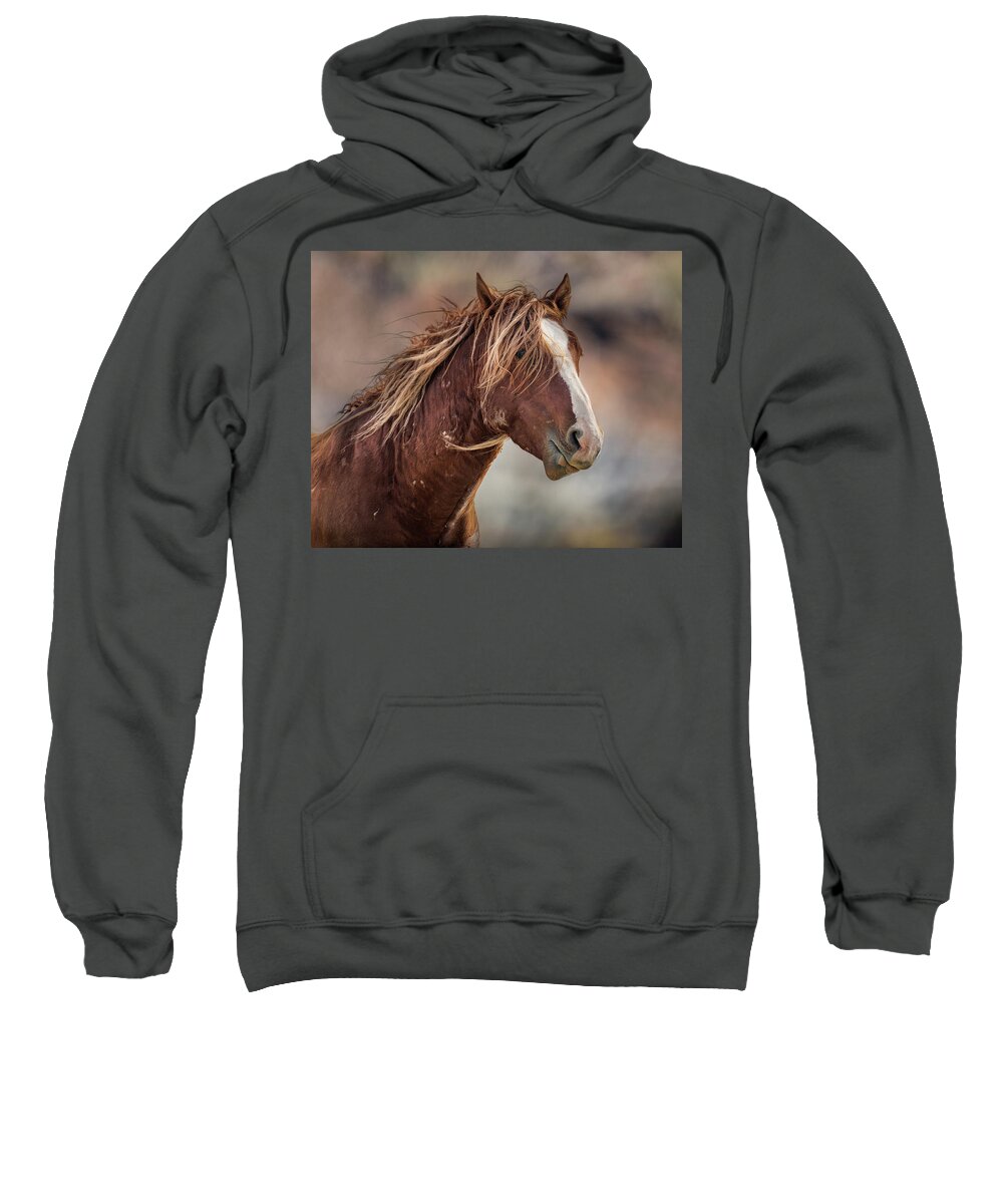 Wild Horses Sweatshirt featuring the photograph Wilder #1 by Mary Hone