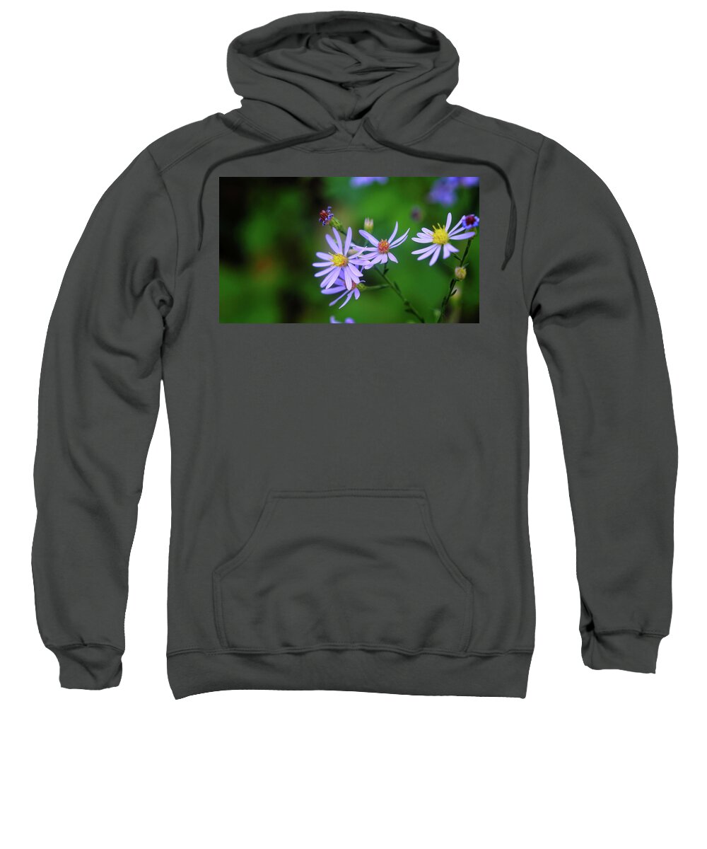 Blossom Sweatshirt featuring the photograph Wildflowers #1 by George Taylor