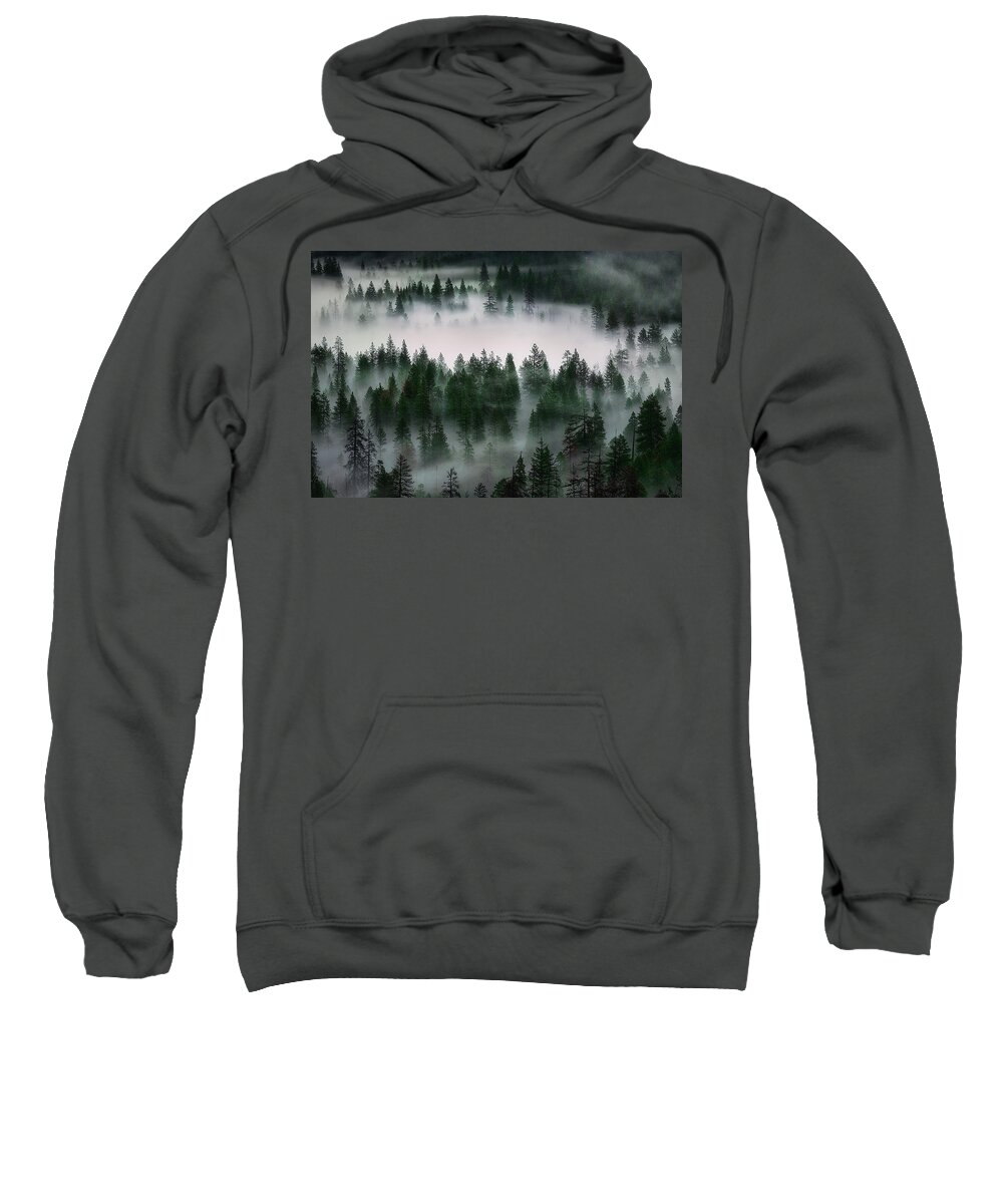 Nature Sweatshirt featuring the photograph Yosemite Valley of Trees #1 by Jon Glaser