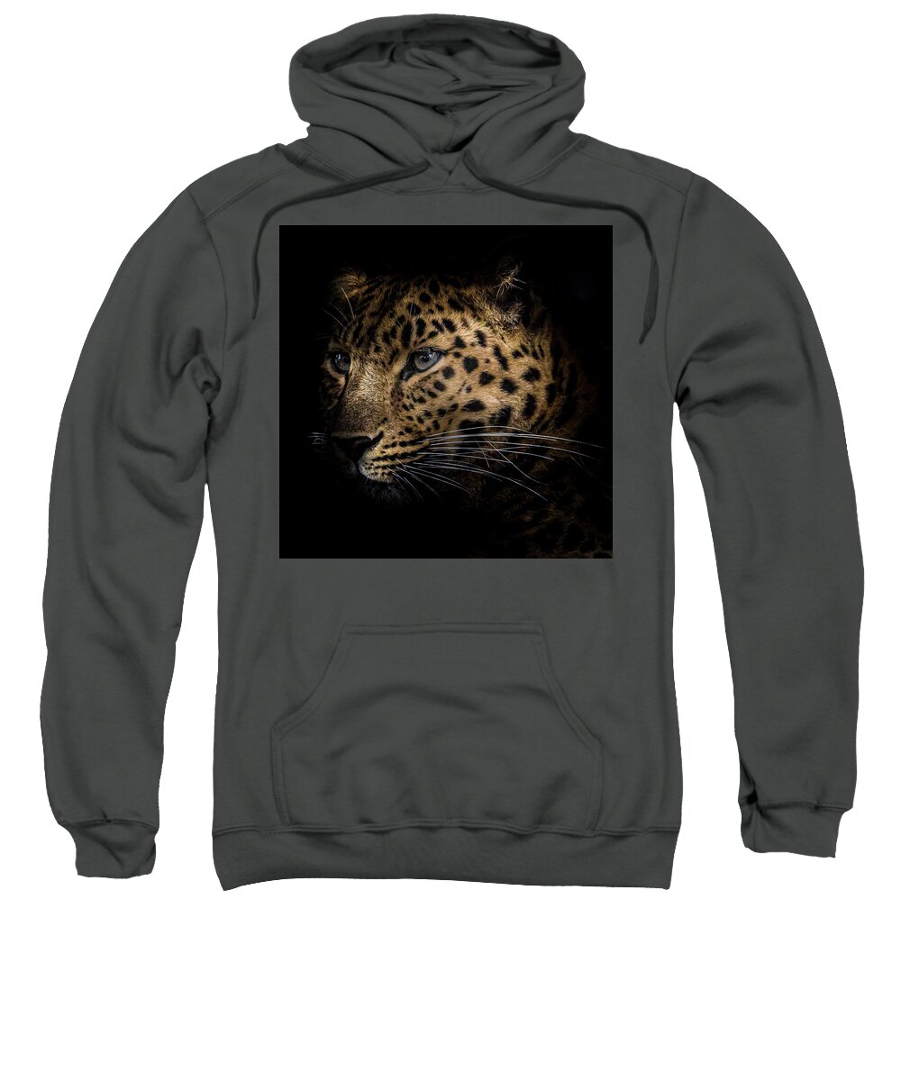 Amur Sweatshirt featuring the photograph Amur Leopard #2 by Chris Boulton