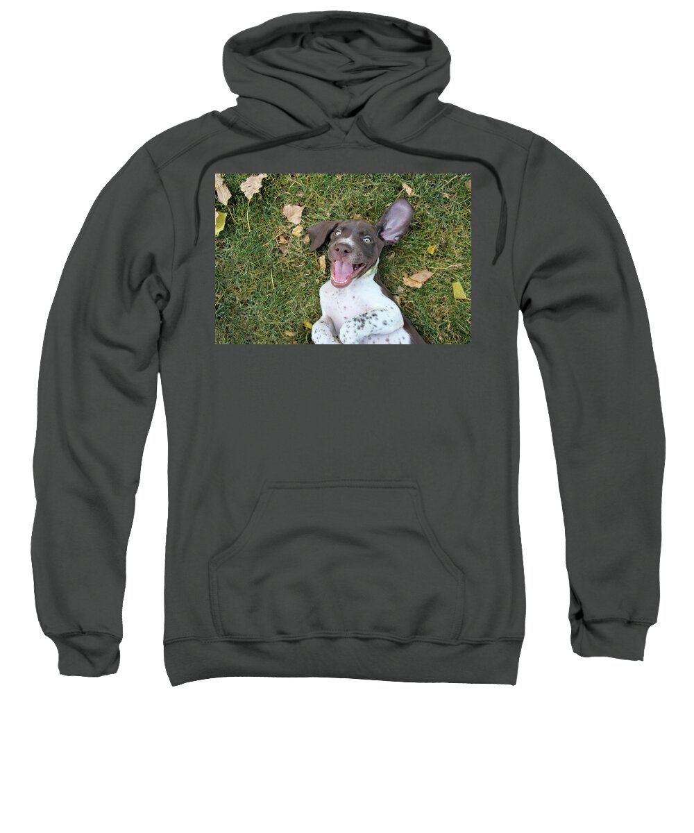 Gsp Sweatshirt featuring the photograph Happy Pup #2 by Brook Burling