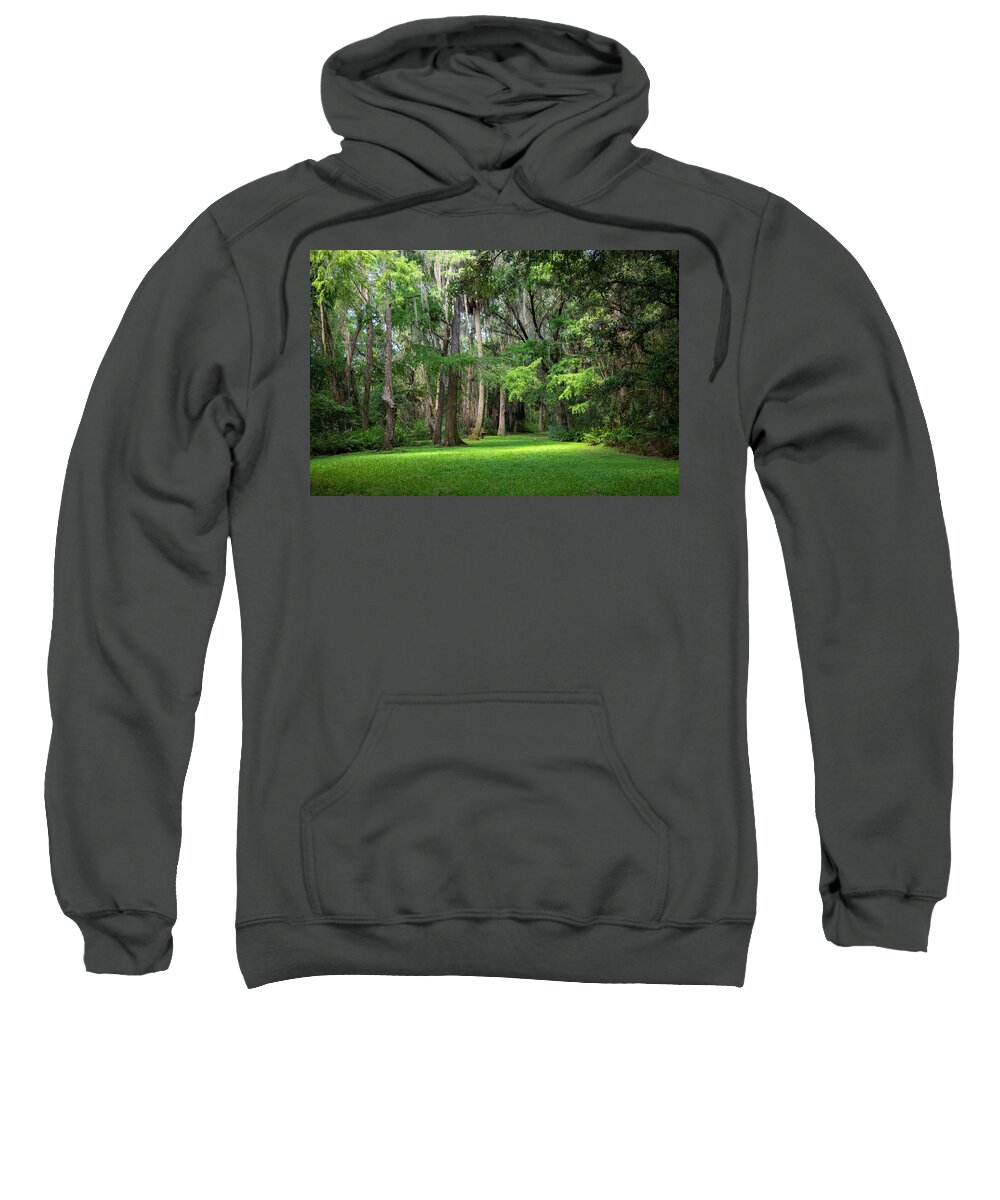 Woods Sweatshirt featuring the photograph Lake Istokpoga Park #2 by Dart Humeston