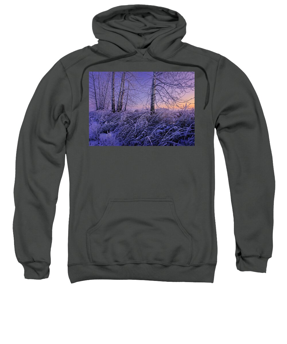 Winter Sweatshirt featuring the photograph Winter Frost #2 by Dan Jurak