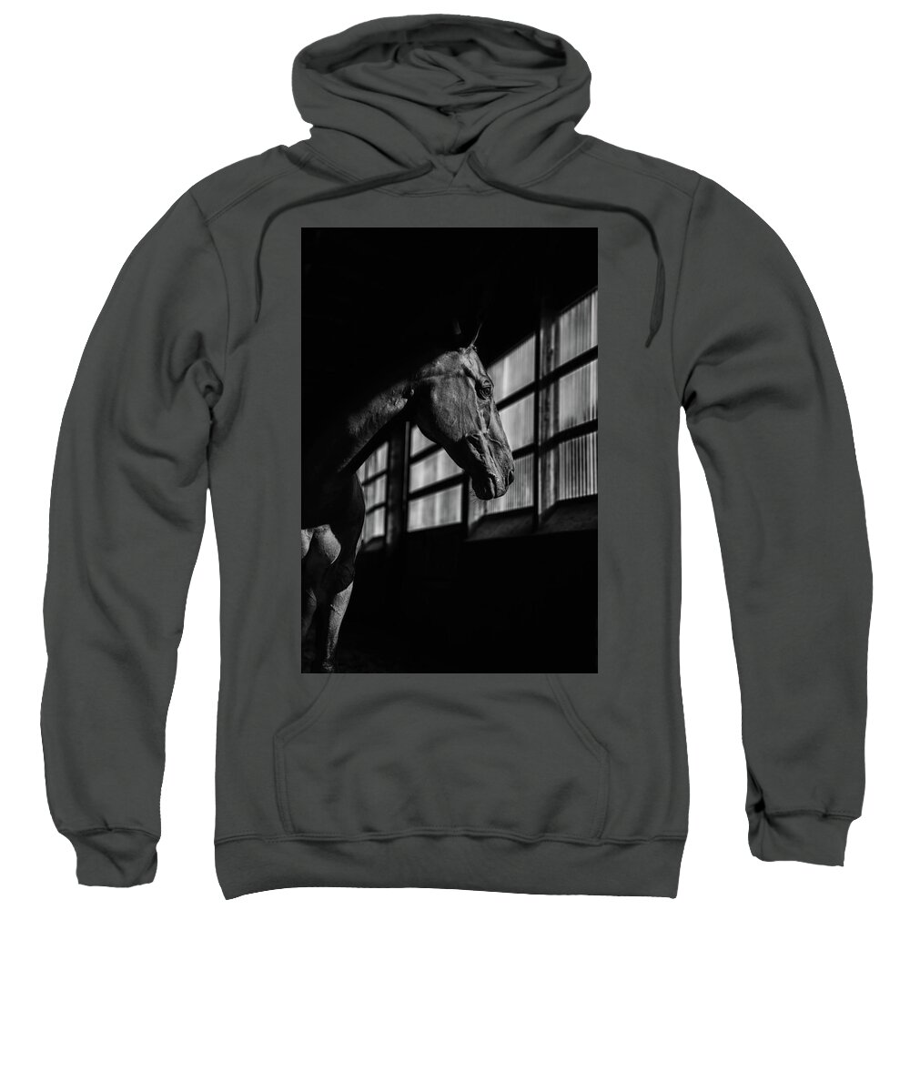  Sweatshirt featuring the photograph Untitled #20 by Ryan Courson