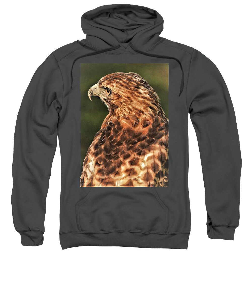 Bird Of Pray Feathers Eye Sweatshirt featuring the photograph Bird1 by John Linnemeyer