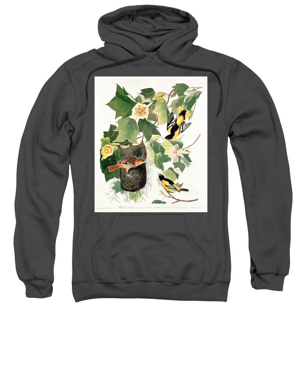 Baltimore Oriole Sweatshirt featuring the painting Baltimore Oriole by John James Audubon