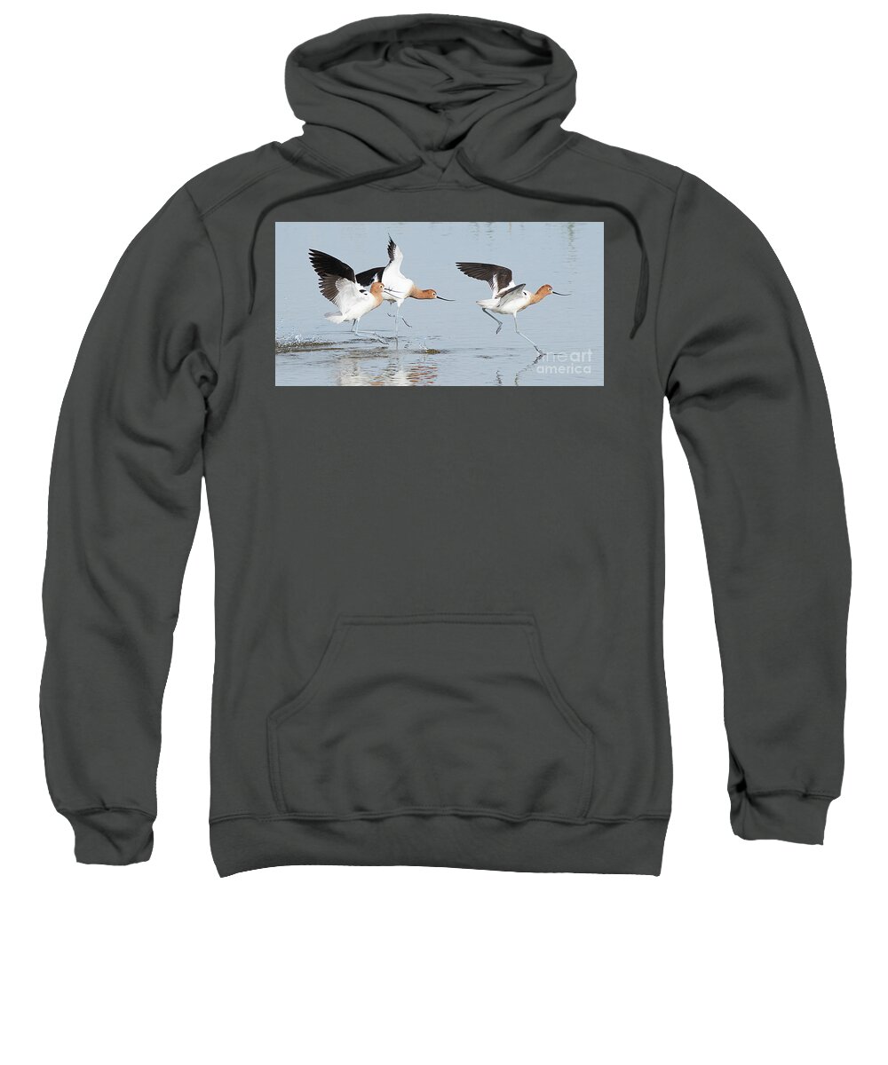 Bird Sweatshirt featuring the photograph American Avocet #7 by Dennis Hammer