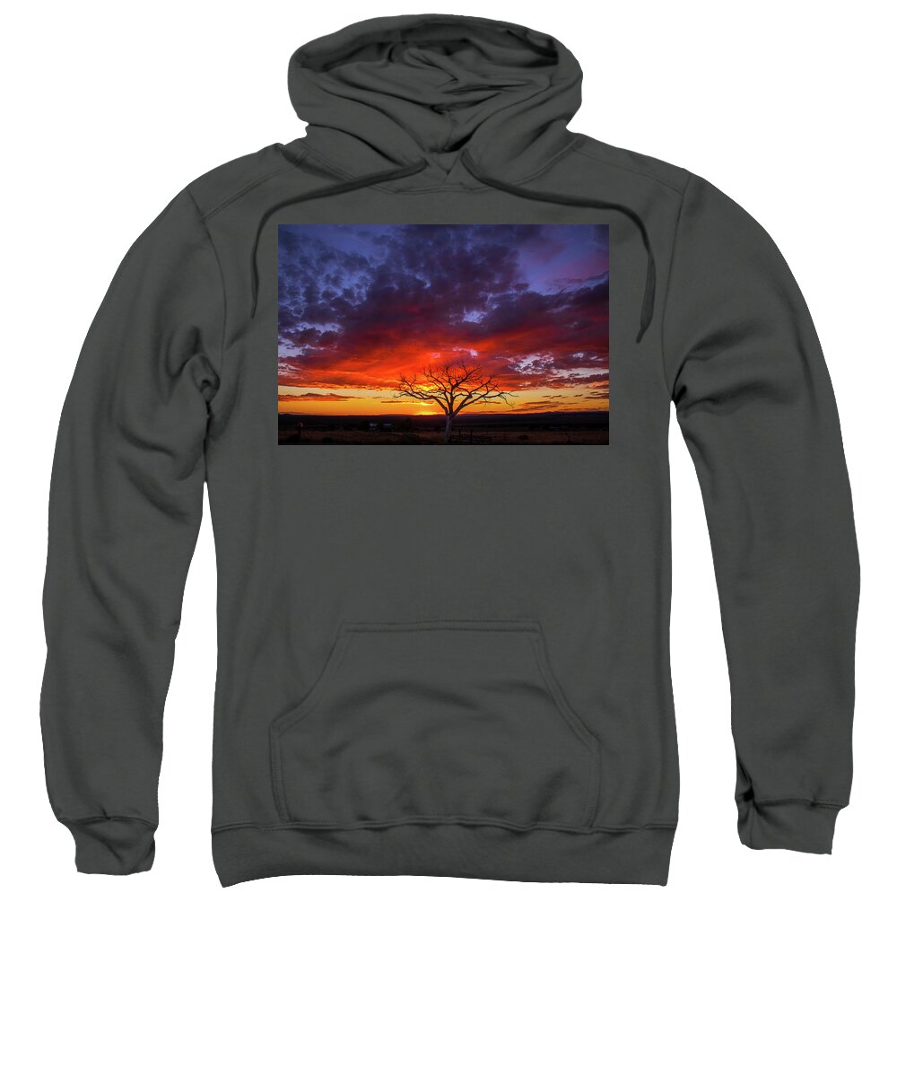 Taos Sweatshirt featuring the photograph Taos Welcome Tree #8 by Elijah Rael