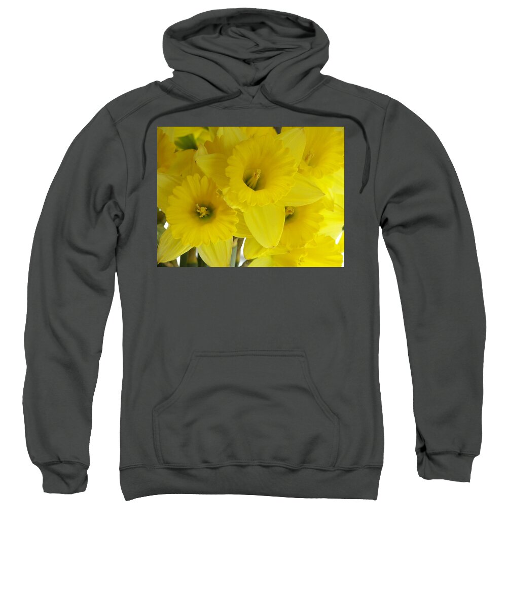 Daffodils Sweatshirt featuring the photograph Yellow Daffodils by Ann Murphy