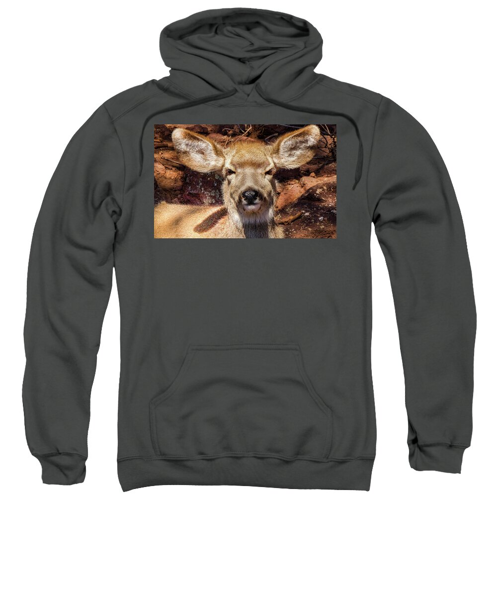 Deer Sweatshirt featuring the photograph A Mule Deer by Laura Putman