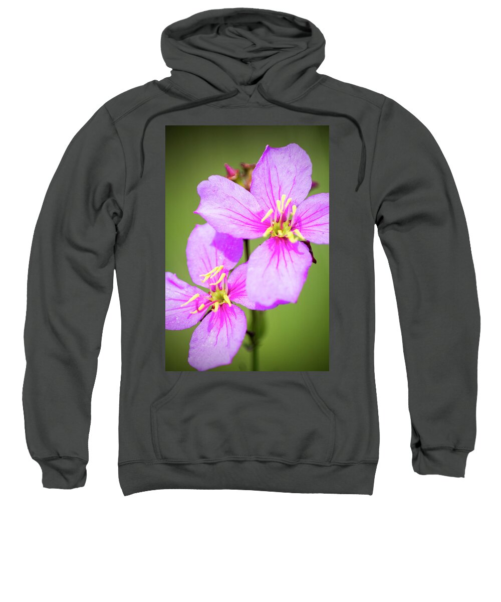 Meadow Beauty Wildflower Sweatshirt featuring the photograph A Pair of Meadow Beauty Wildflowers by Bob Decker