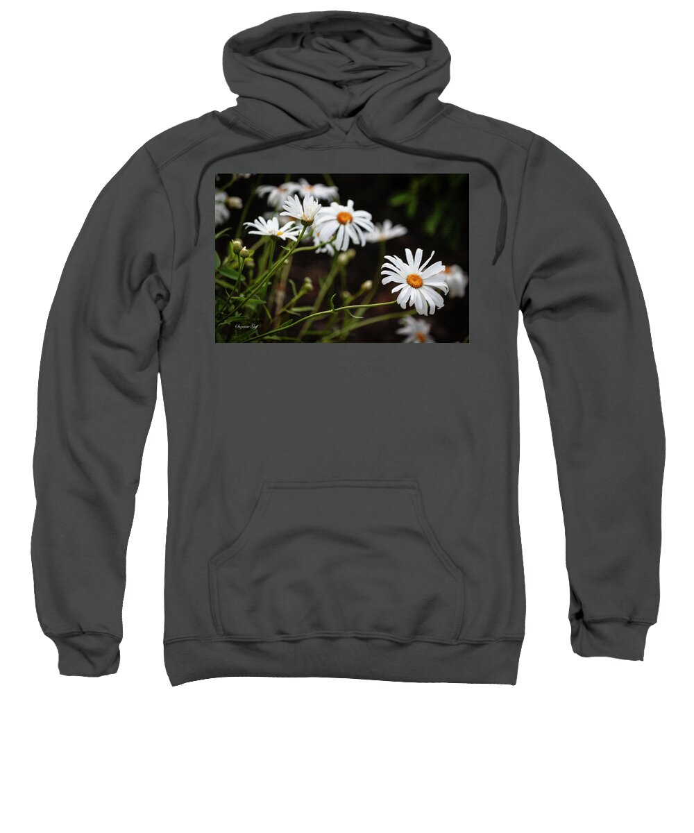 Photograph Sweatshirt featuring the photograph A Profusion of Daisies by Suzanne Gaff