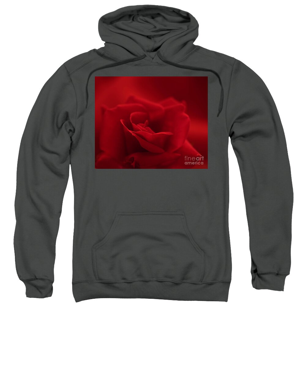 Macro Sweatshirt featuring the photograph A Rose is a Rose by Patrick Nowotny