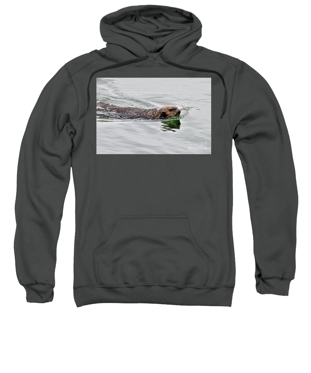 Sea Otter Sweatshirt featuring the photograph A Sea Otter swimming in Backwater by Amazing Action Photo Video