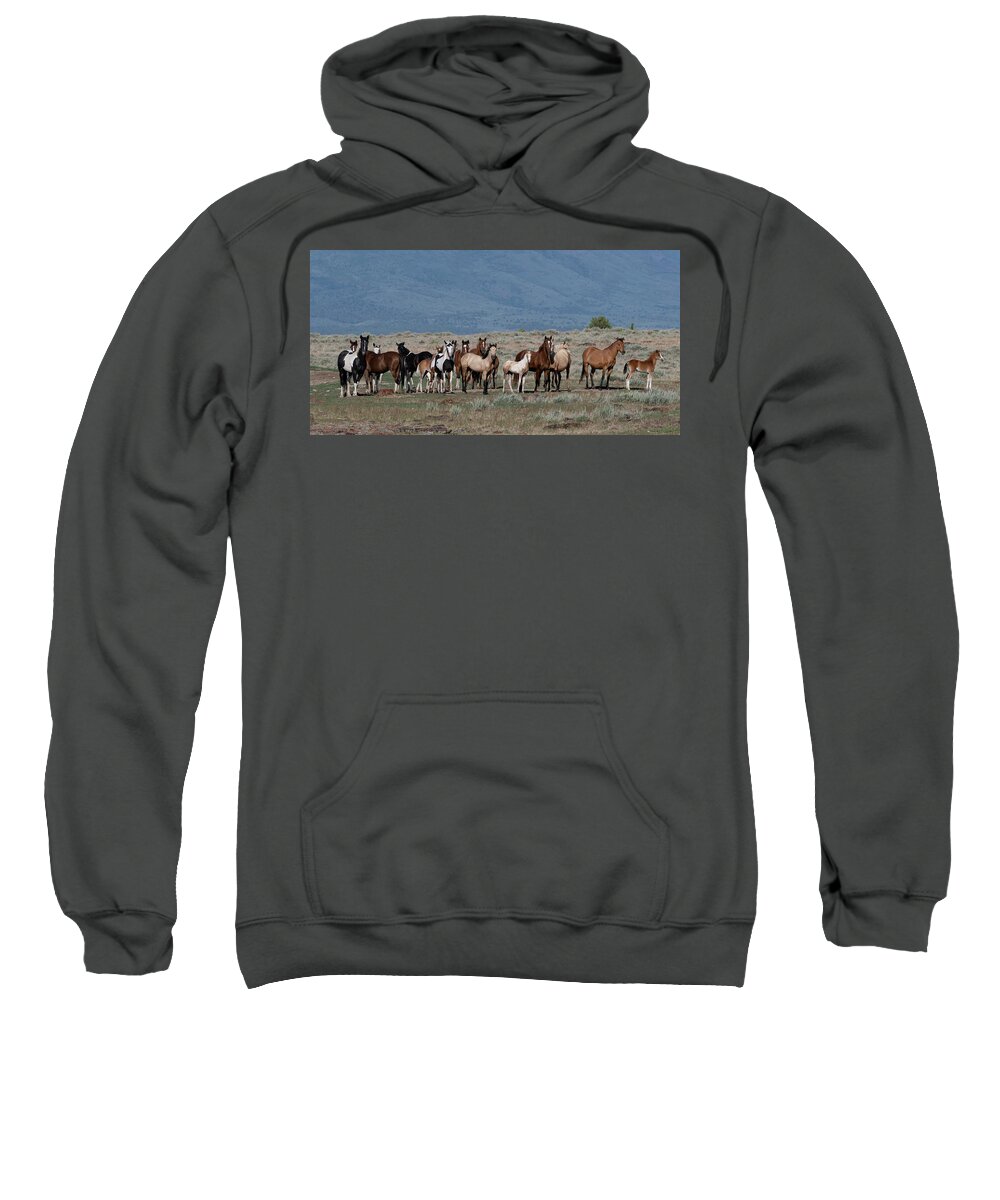 Wild Horses Sweatshirt featuring the photograph All the Pretty Horses by Mary Hone