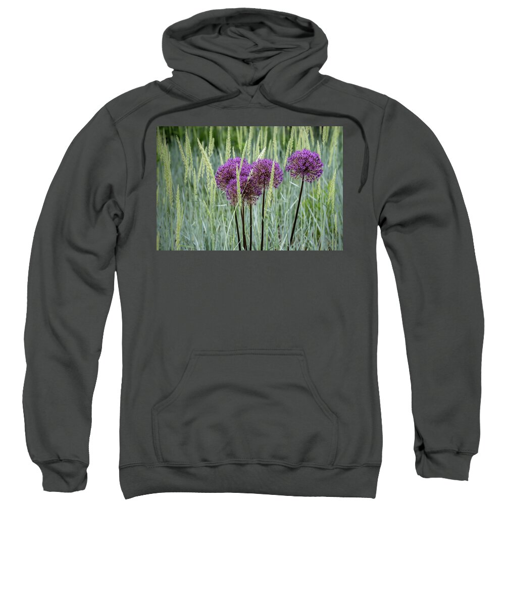 Dow Gardens Sweatshirt featuring the photograph Allium in the Weeds by Robert Carter