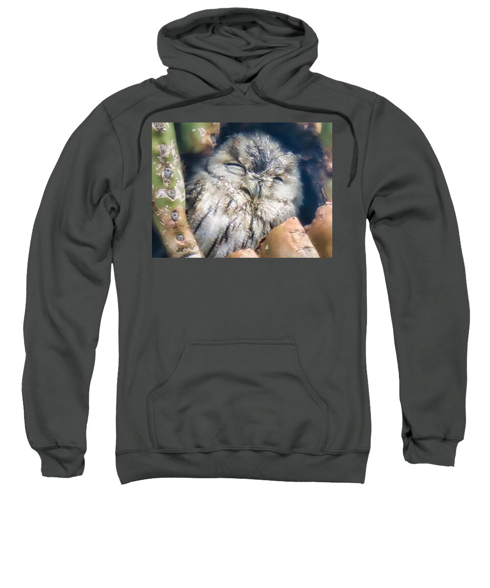 Icon Sweatshirt featuring the photograph Almost Asleep by Judy Kennedy