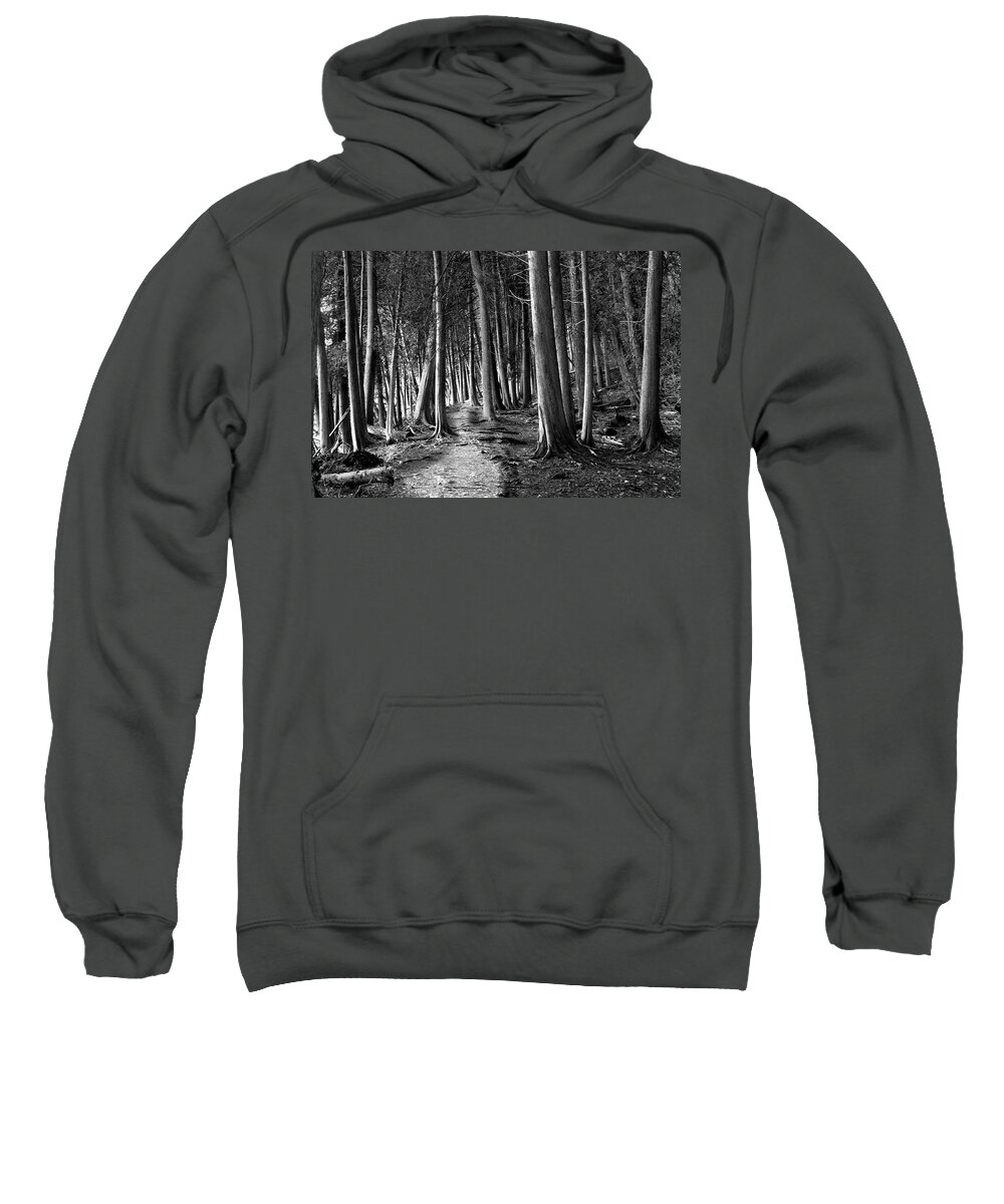 Forest Sweatshirt featuring the photograph Alone by Jim Signorelli