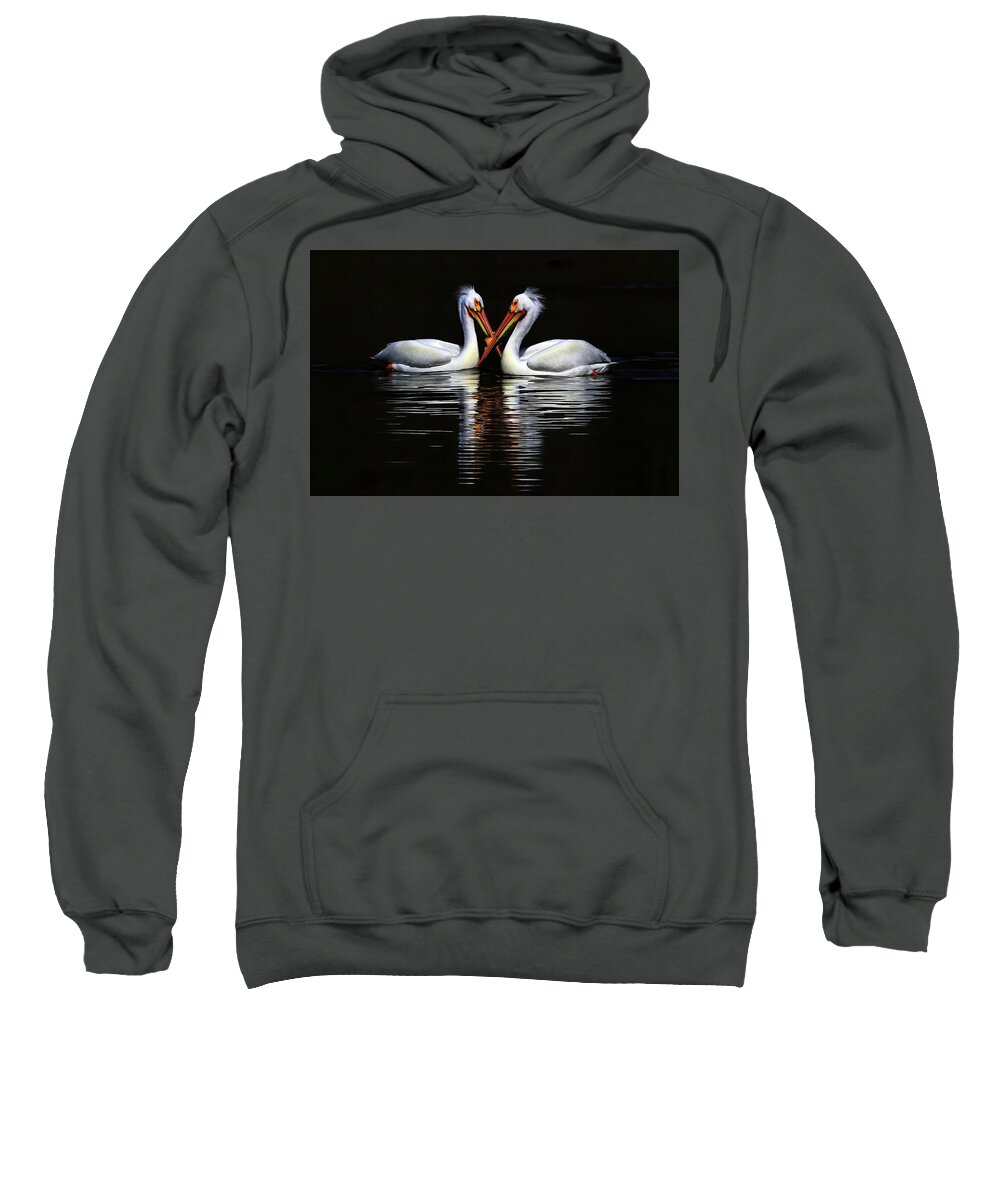 American White Pelican Sweatshirt featuring the photograph American White Pelicans by Shixing Wen